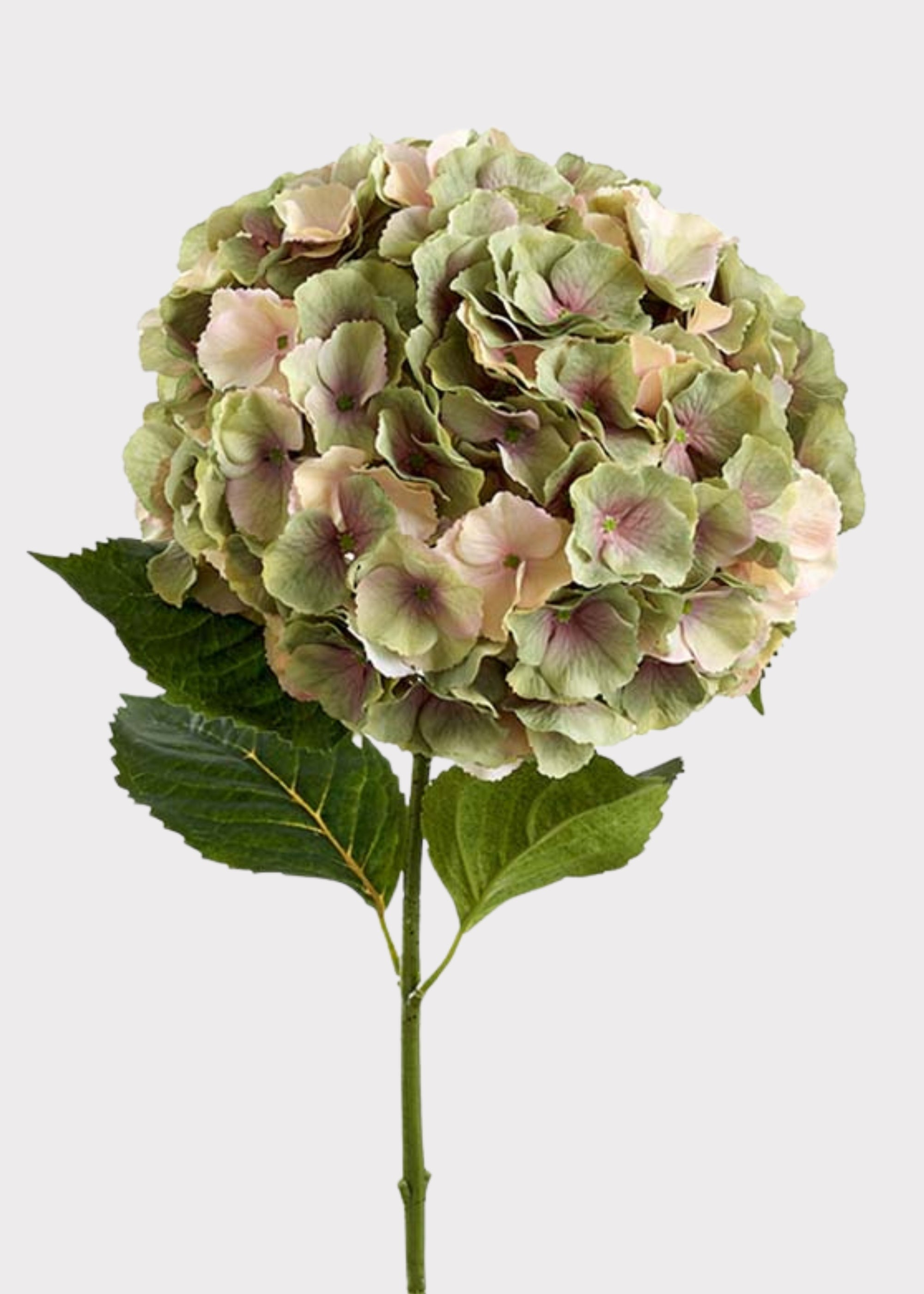 Large Vintage Green and Mauve Fake Hydrangea Flower