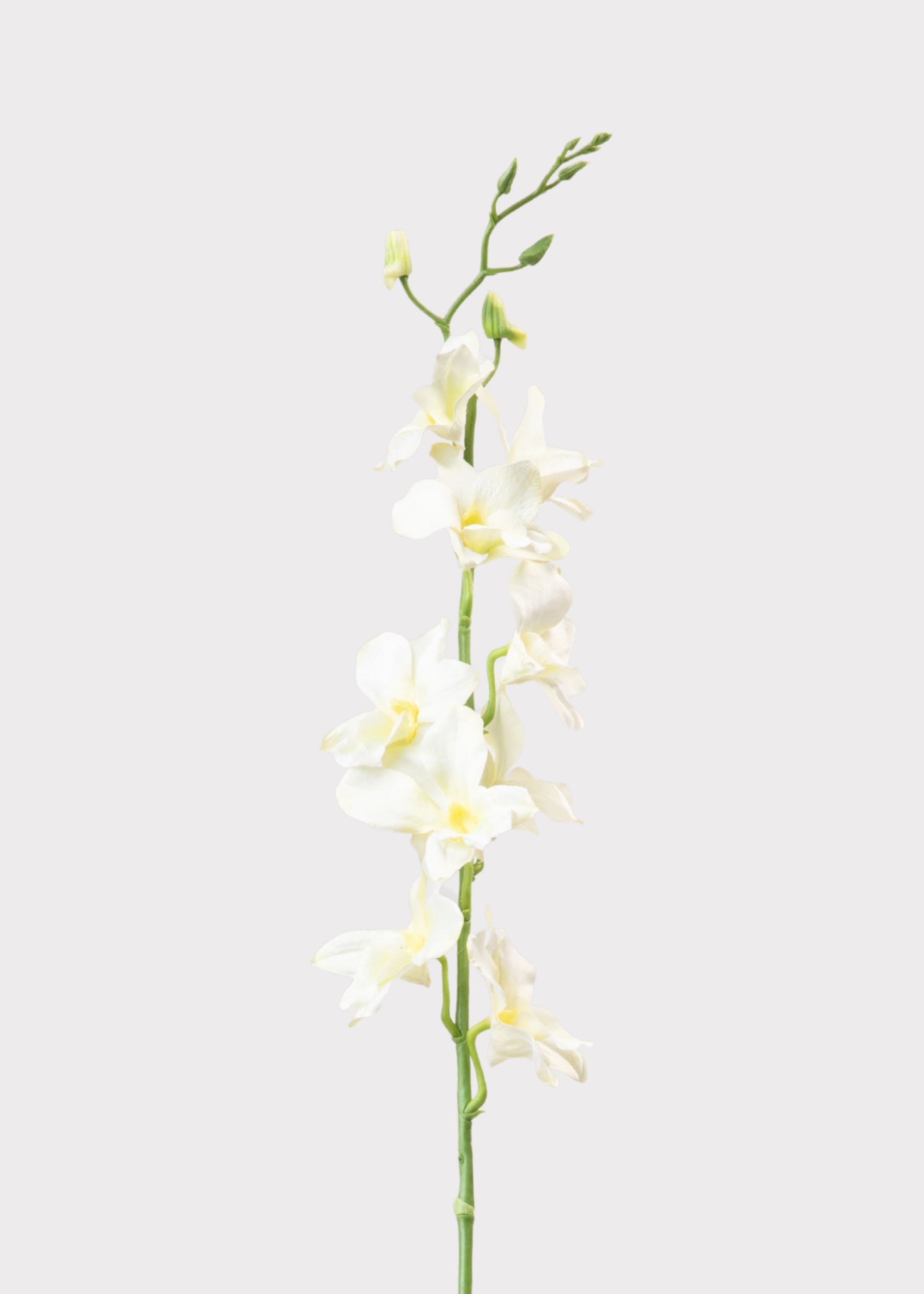 Cream Artificial Dendrobium Orchid Flower Stem