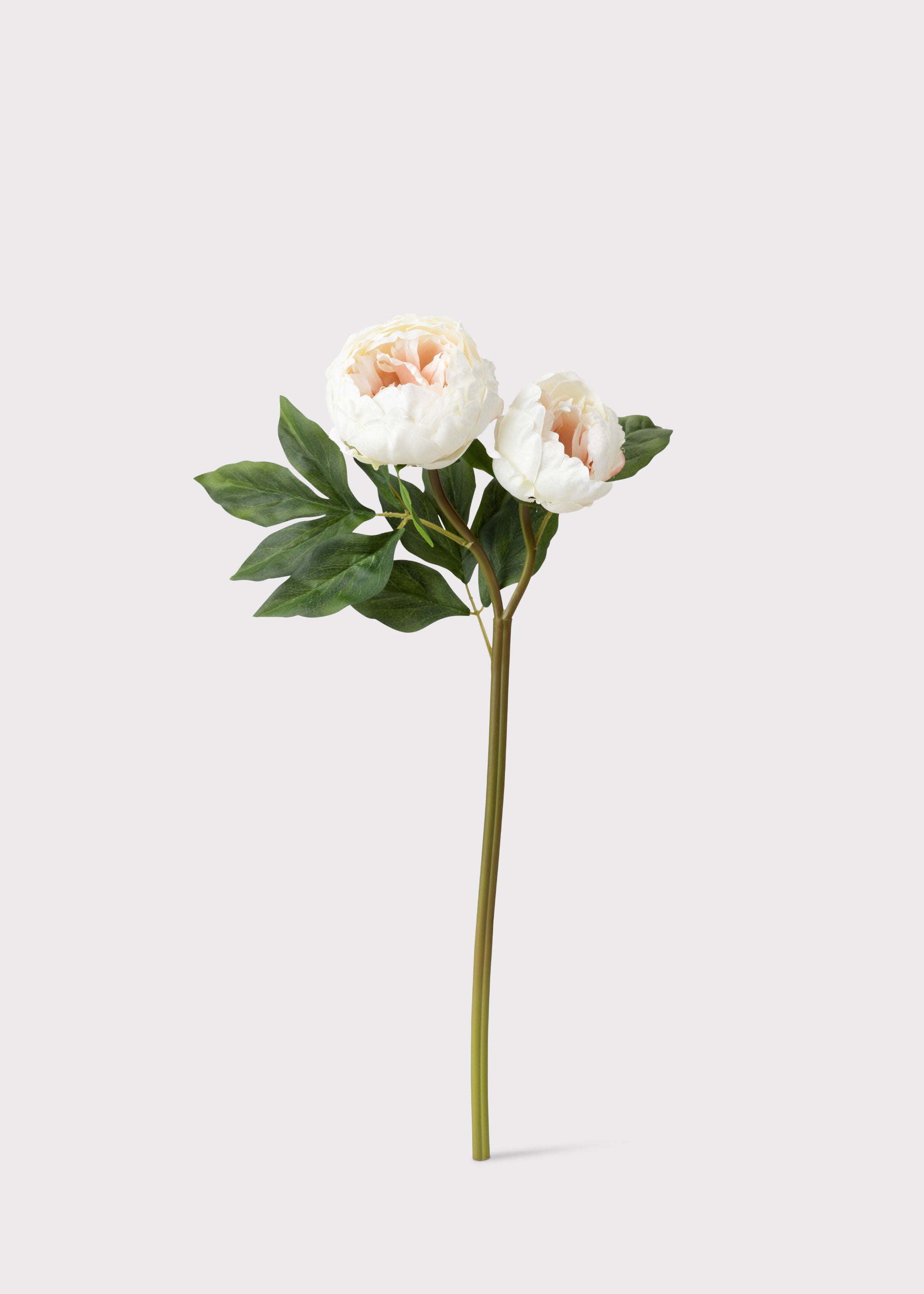 Artificial Peony in Cream