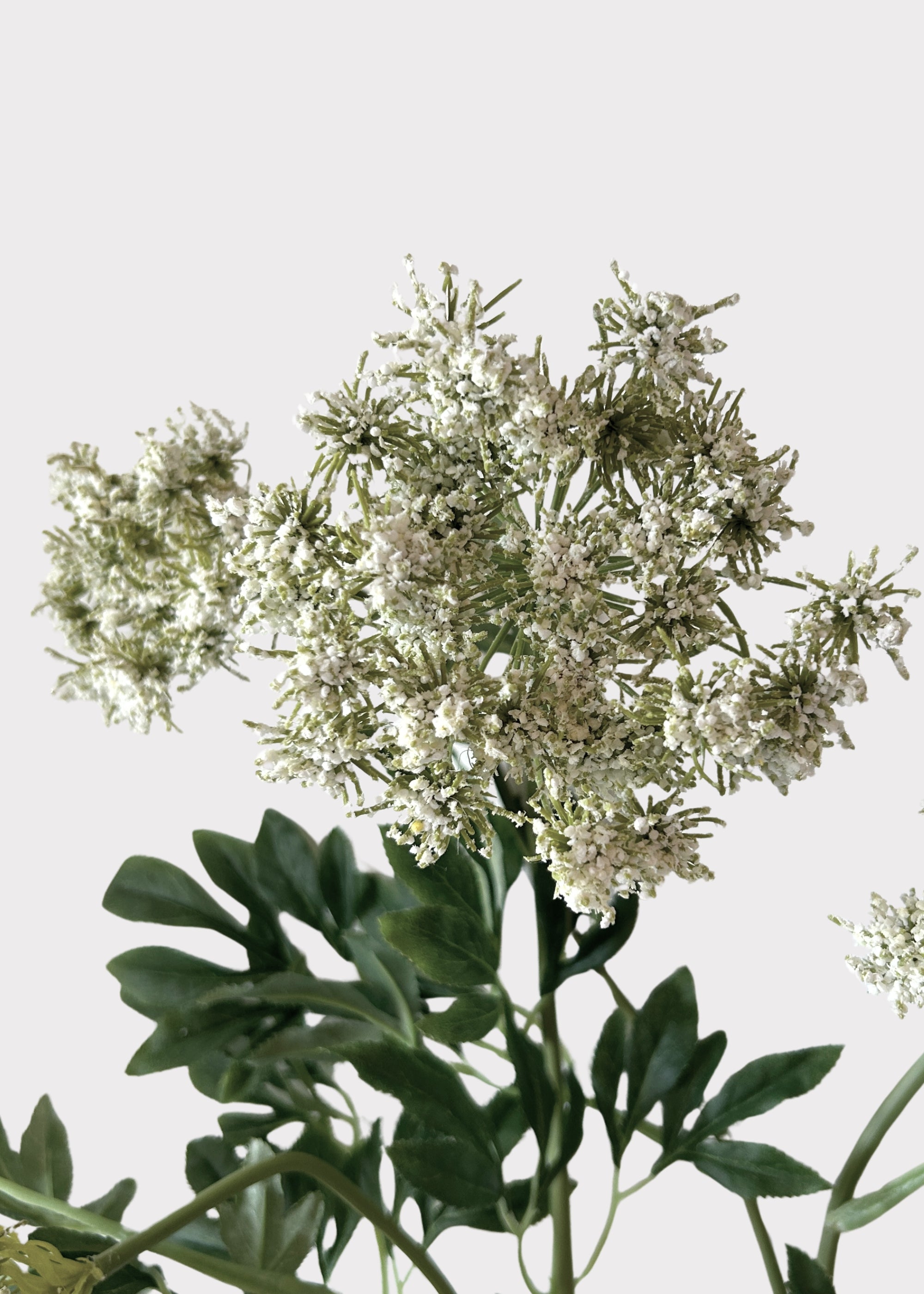 Close-up of the Tall Queen Anne's Lace Fake Wildflower Branch