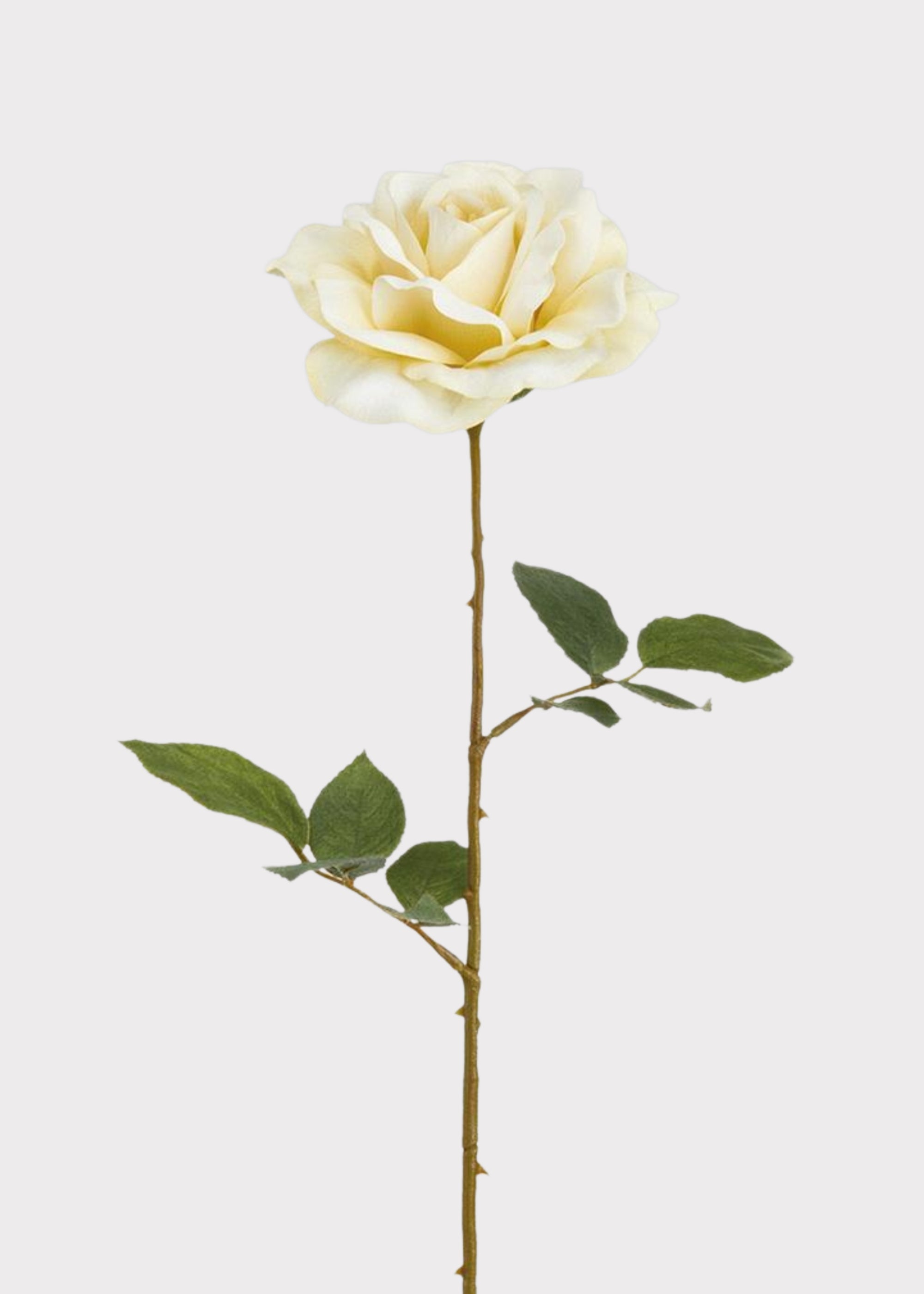 Ivory Faux Rose