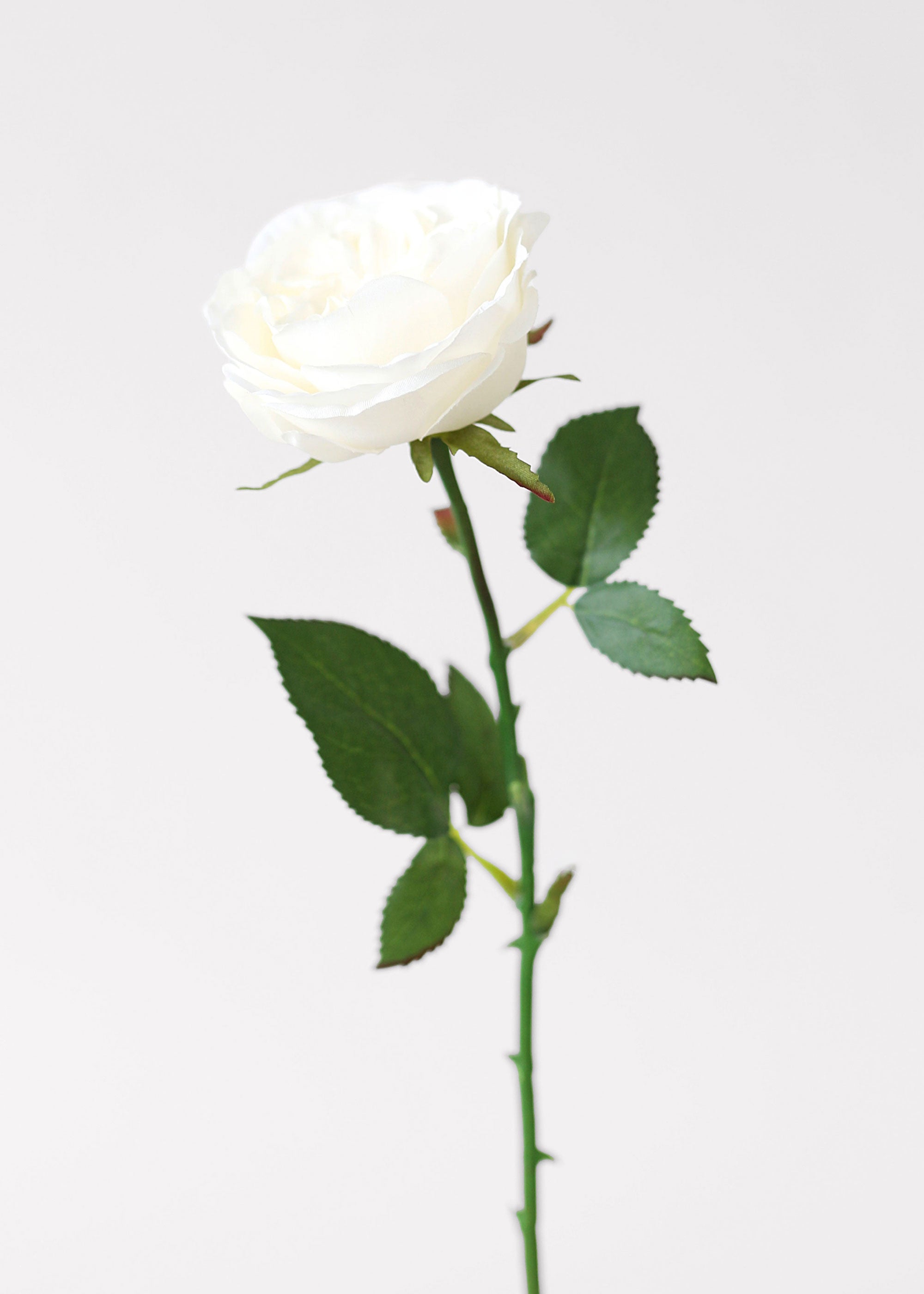 Single white silk rose