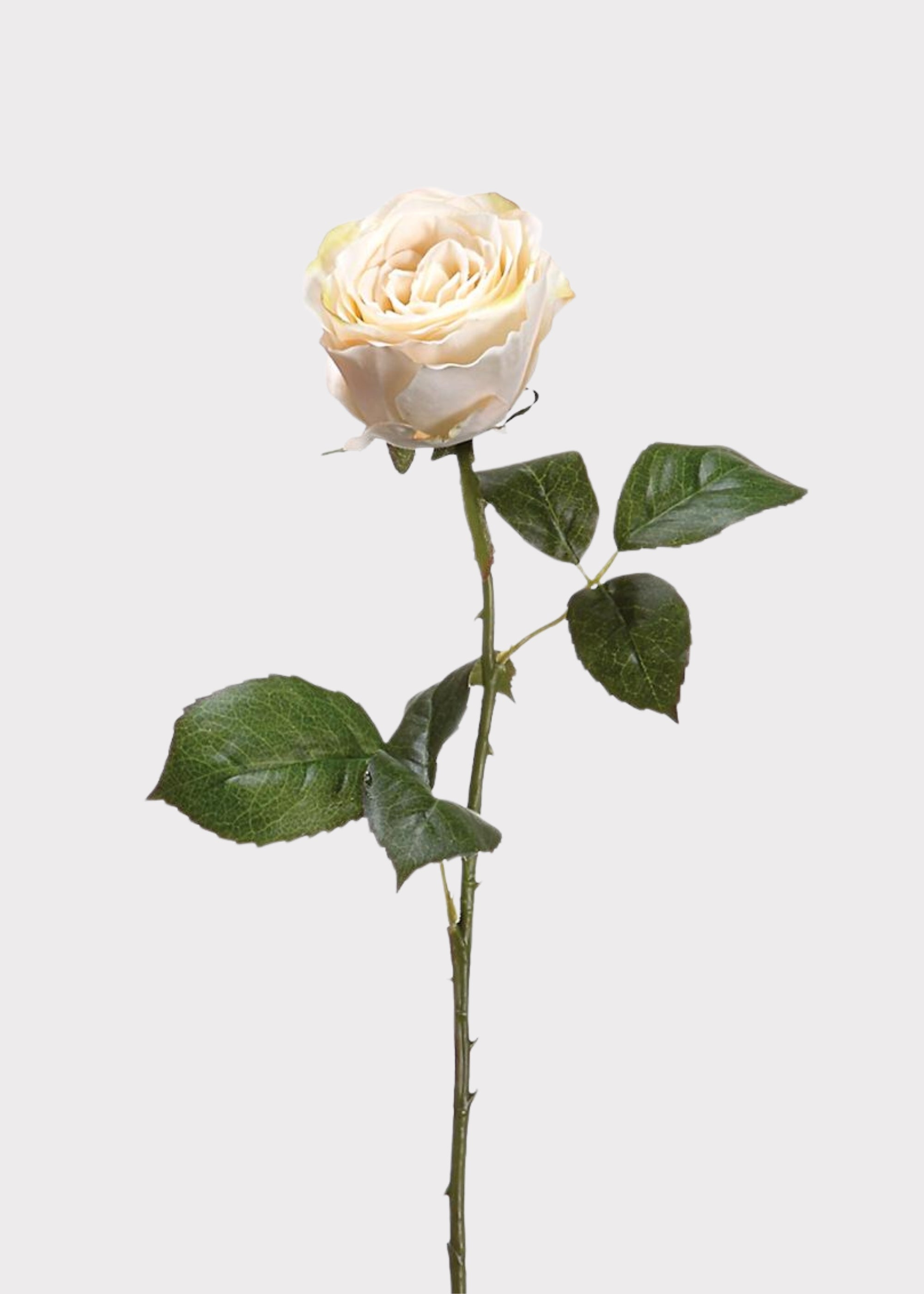 Beige Half Open Rose Fake Flower