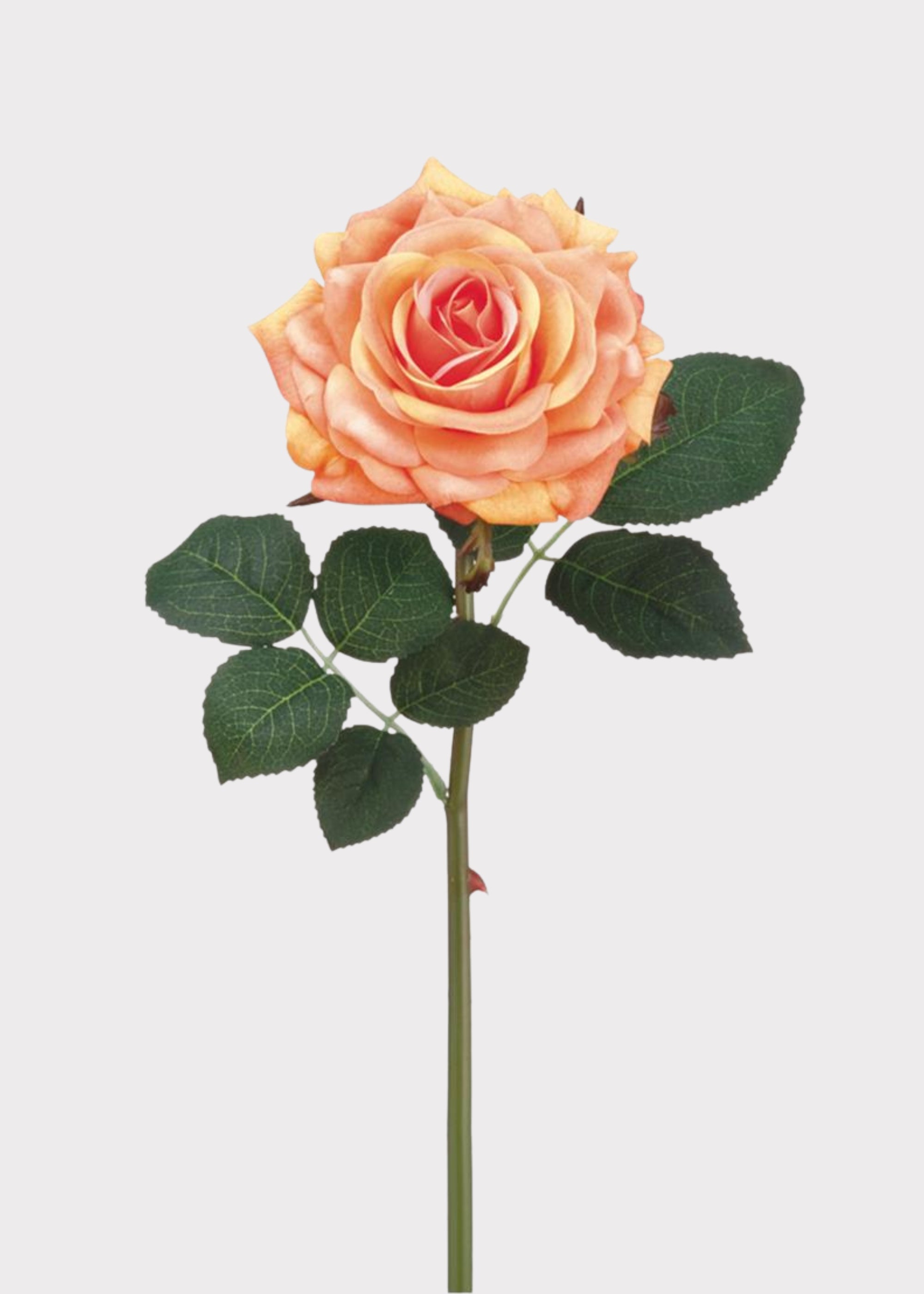 Real Touch Rose in Peach