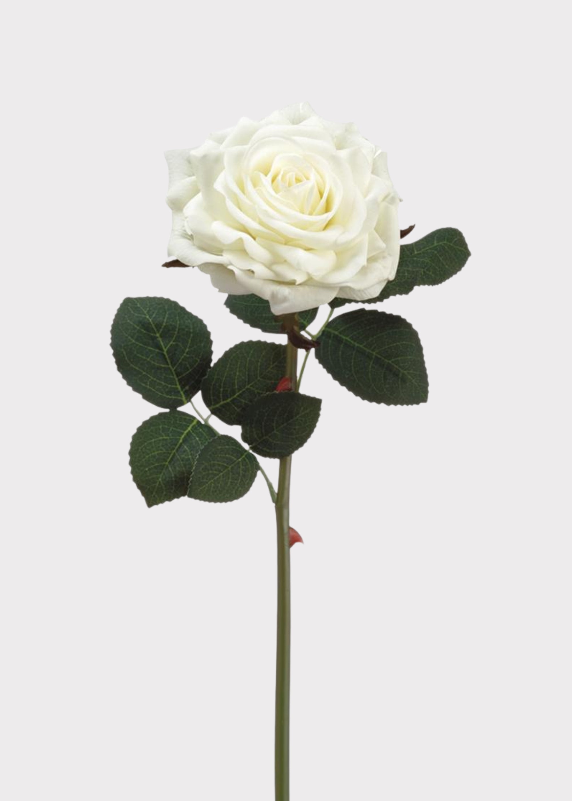 White Real Touch Rose
