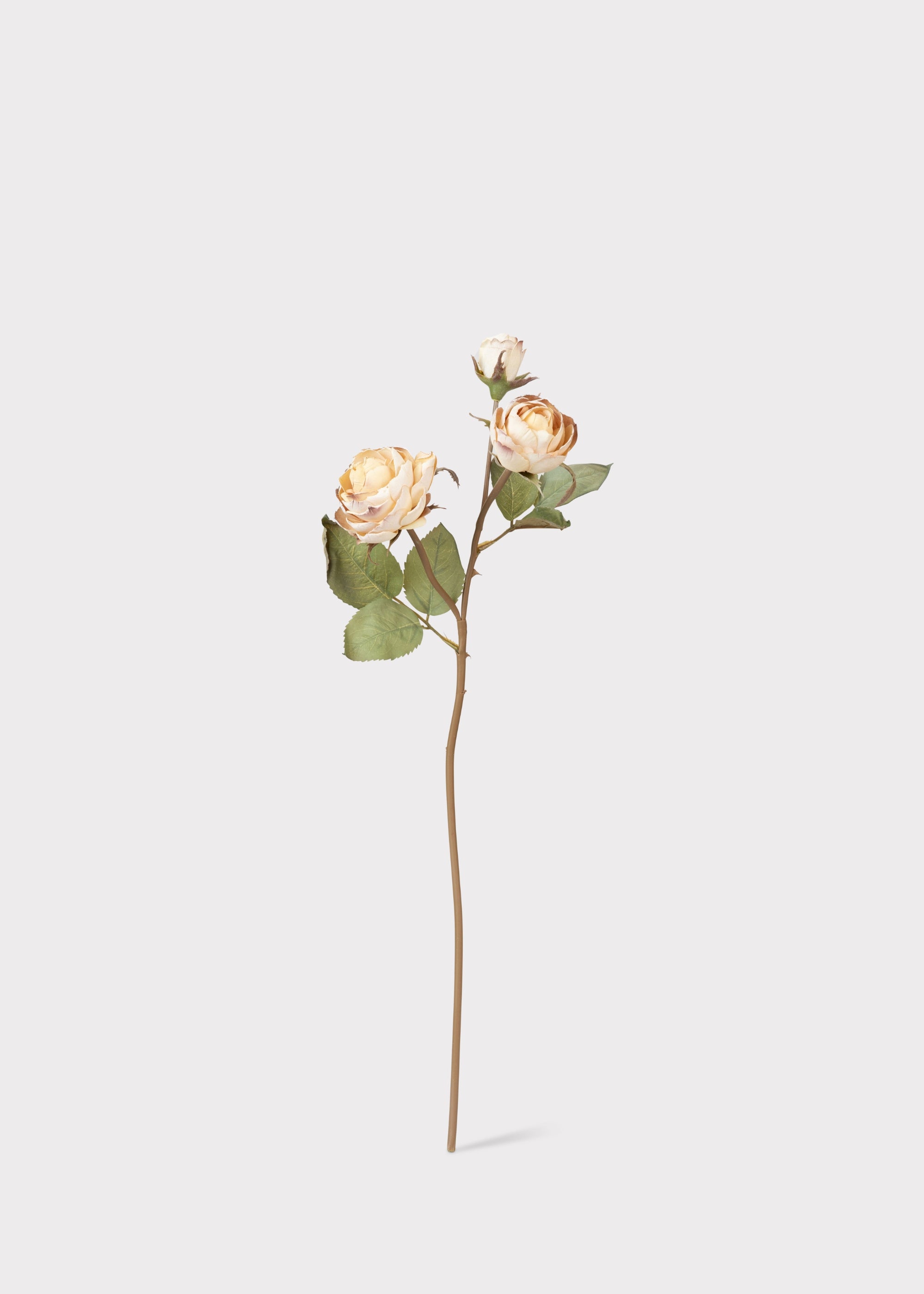 Dried Look Faux Roses in Beige