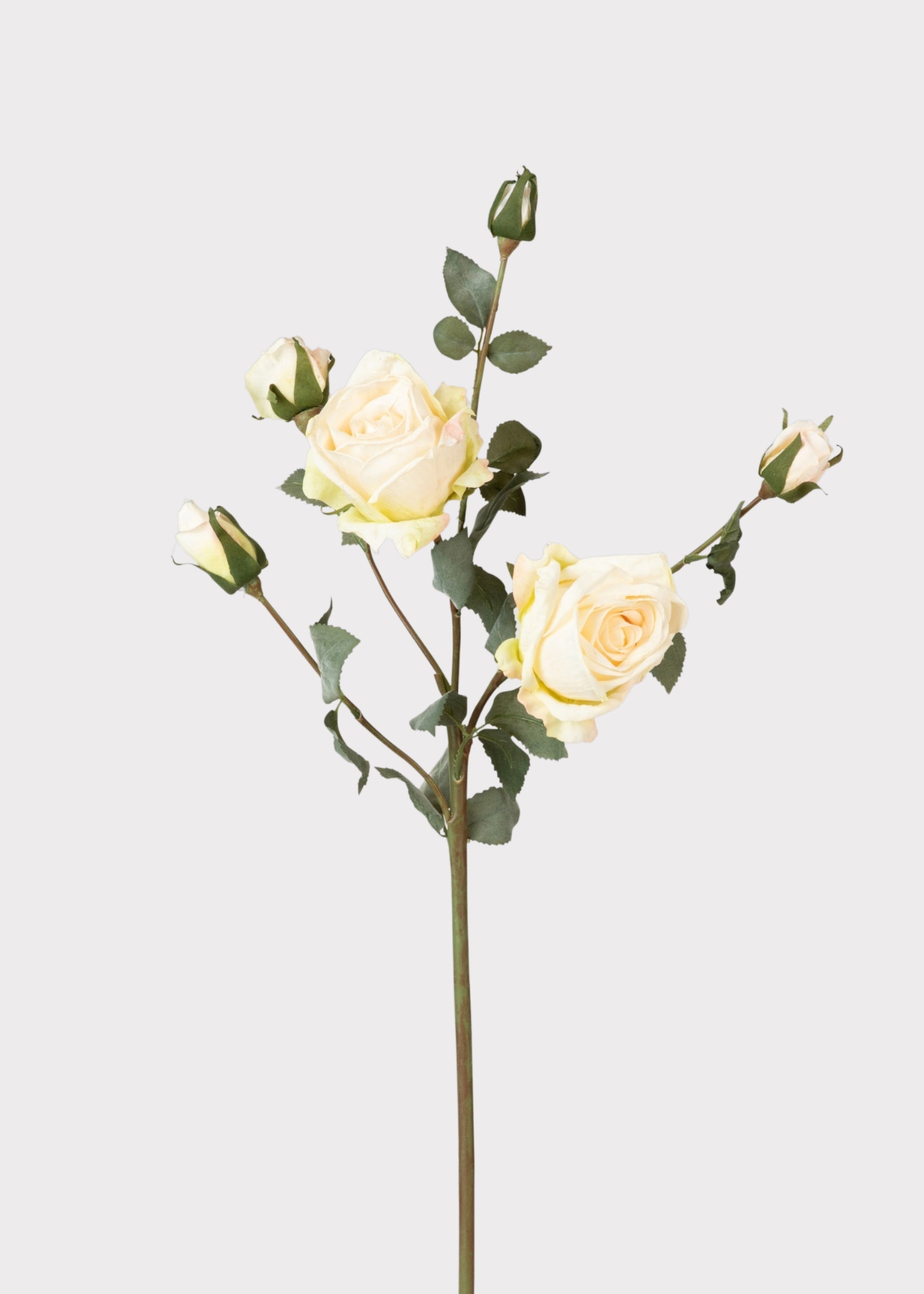 Artificial Rose Stem with a Dried Look