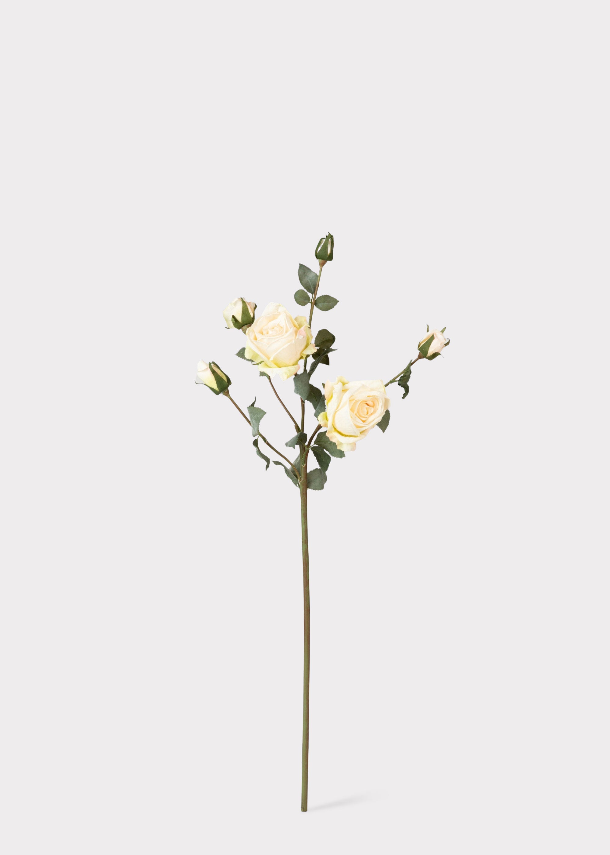 Faux Rose Buds in Cream