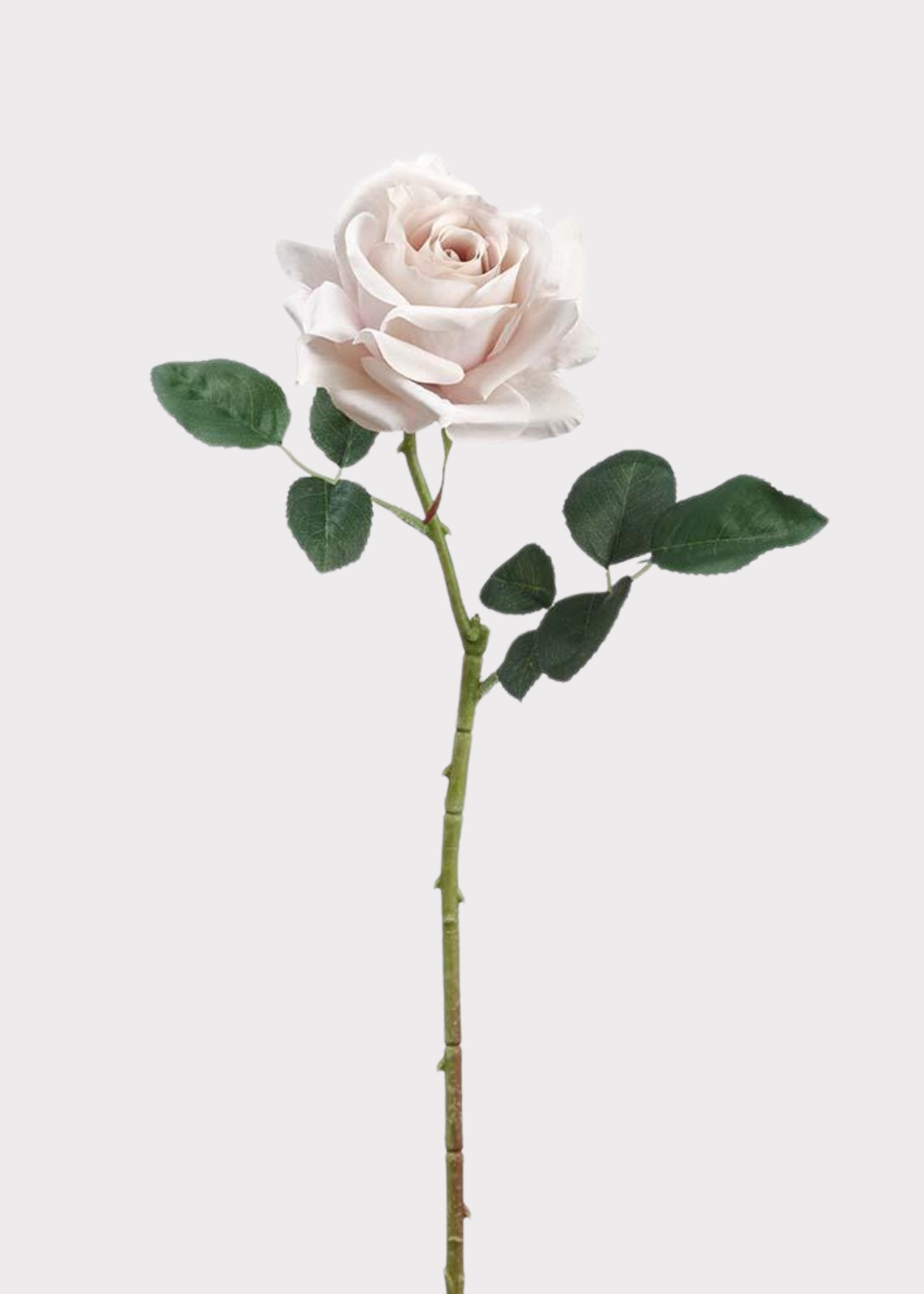 Taupe curly rose spray with ruffled petals and buds on a wired stem