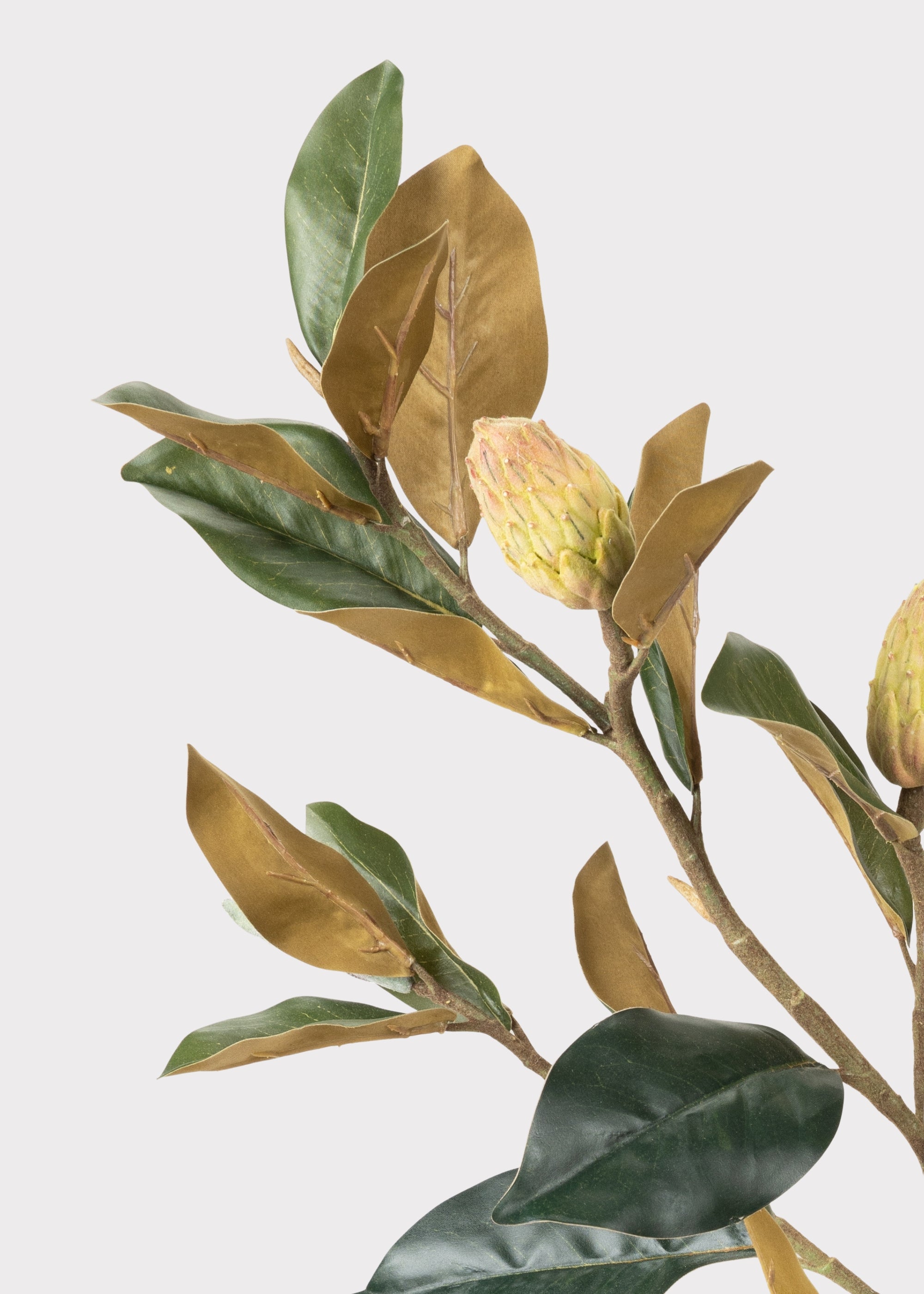 Close-up of Faux Magnolia Bud