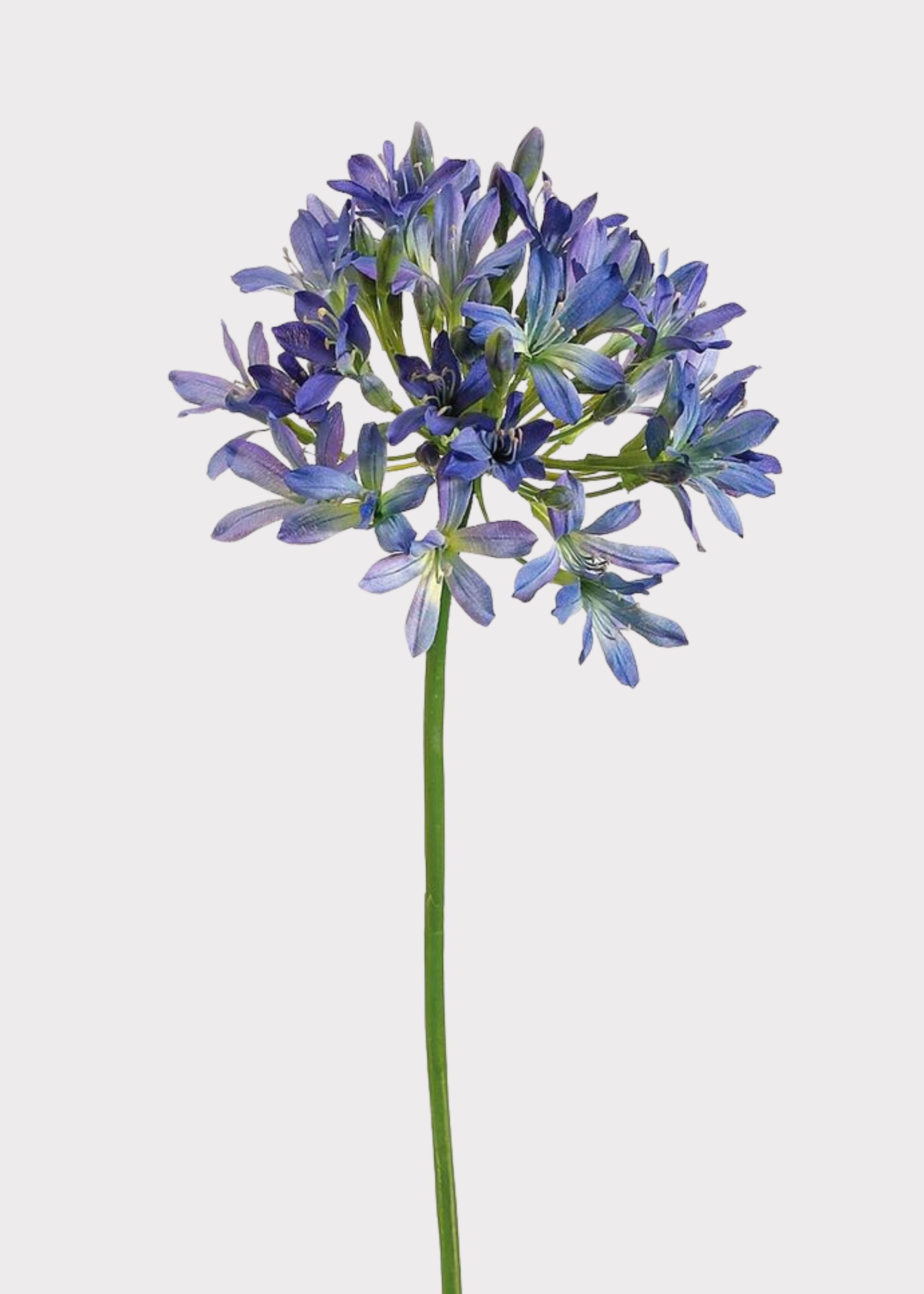 Blue Purple Faux Agapanthus Stem