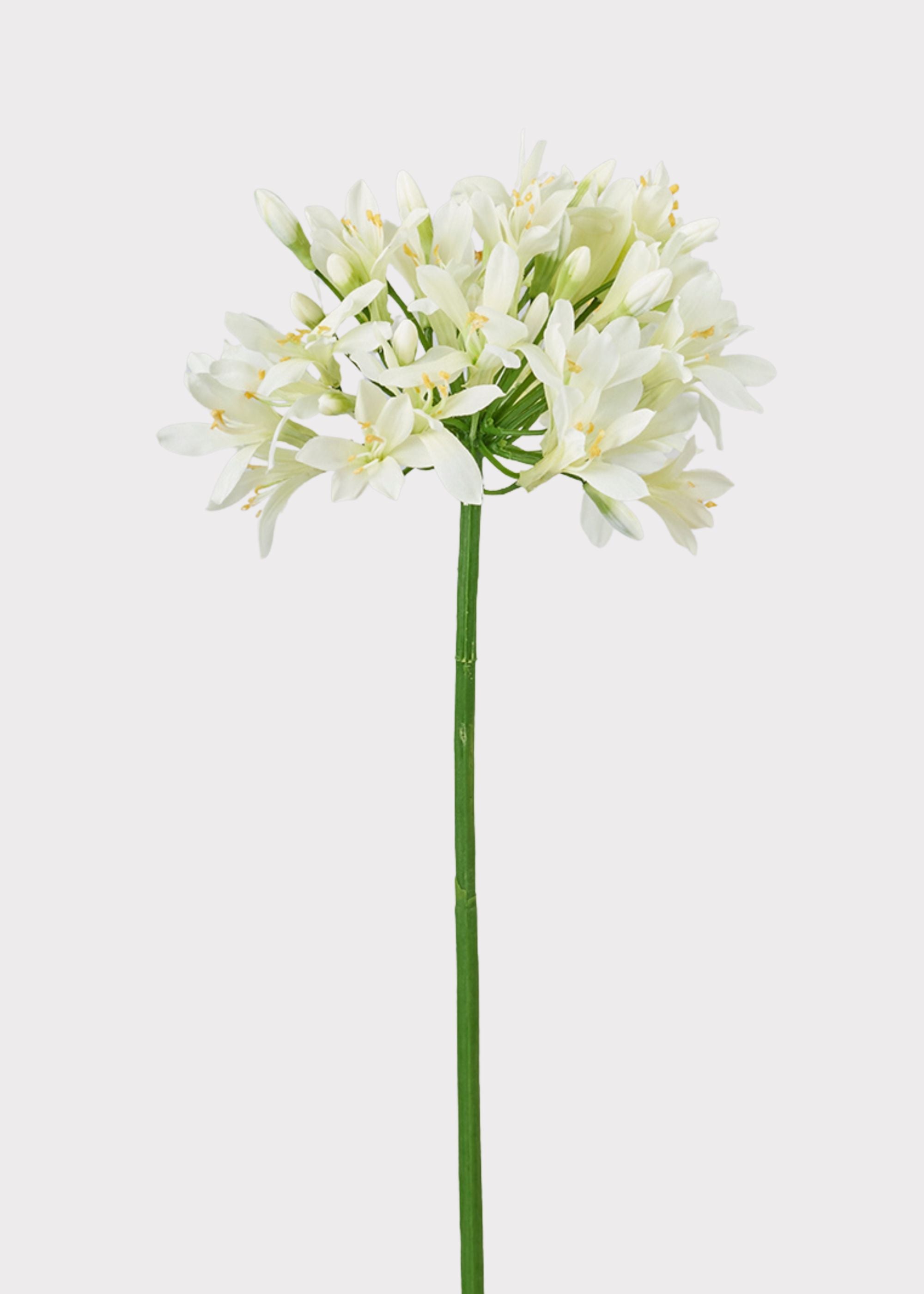 Cream Green Artificial Agapanthus Flower