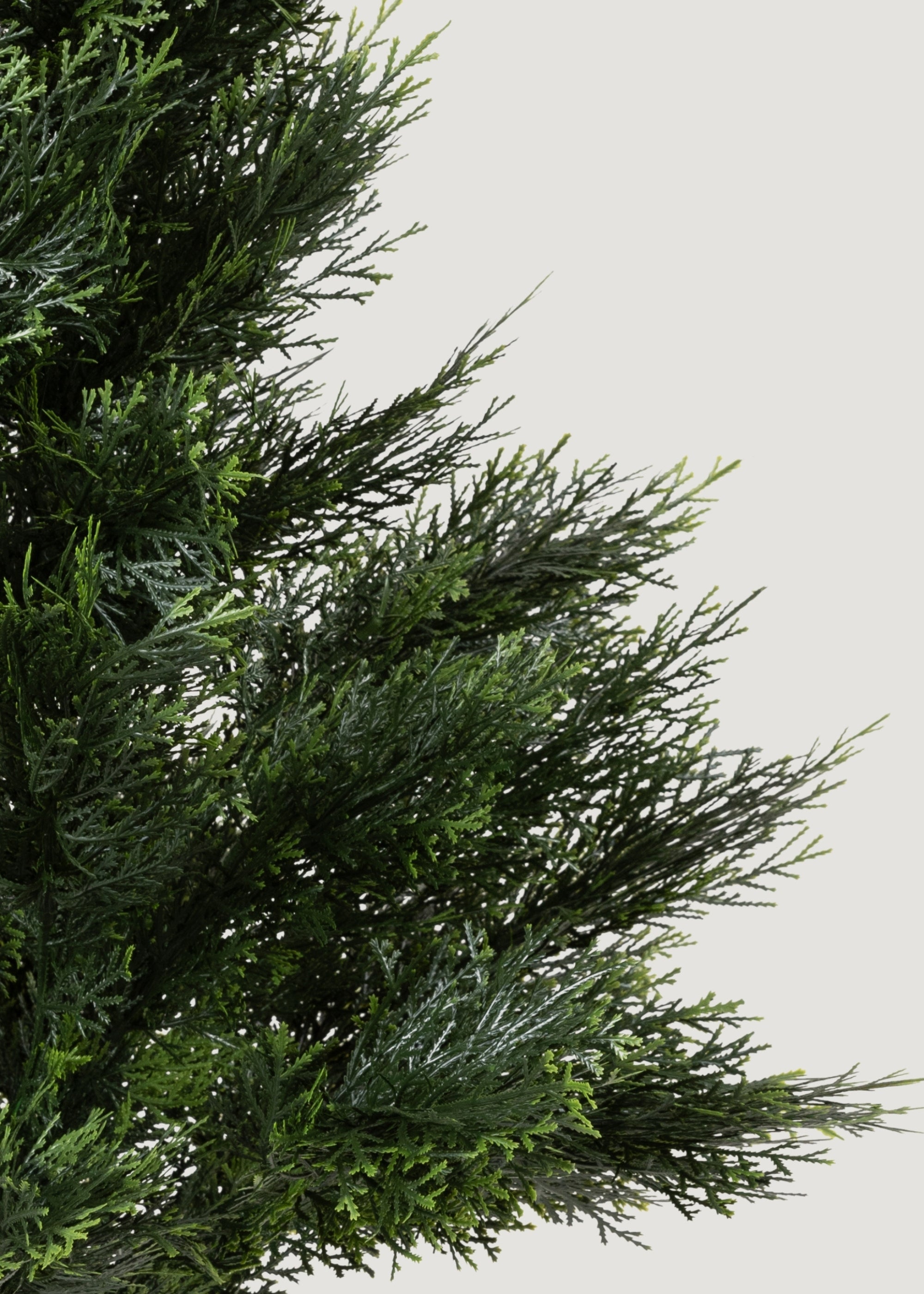 Close-up of Faux Cedar Tree