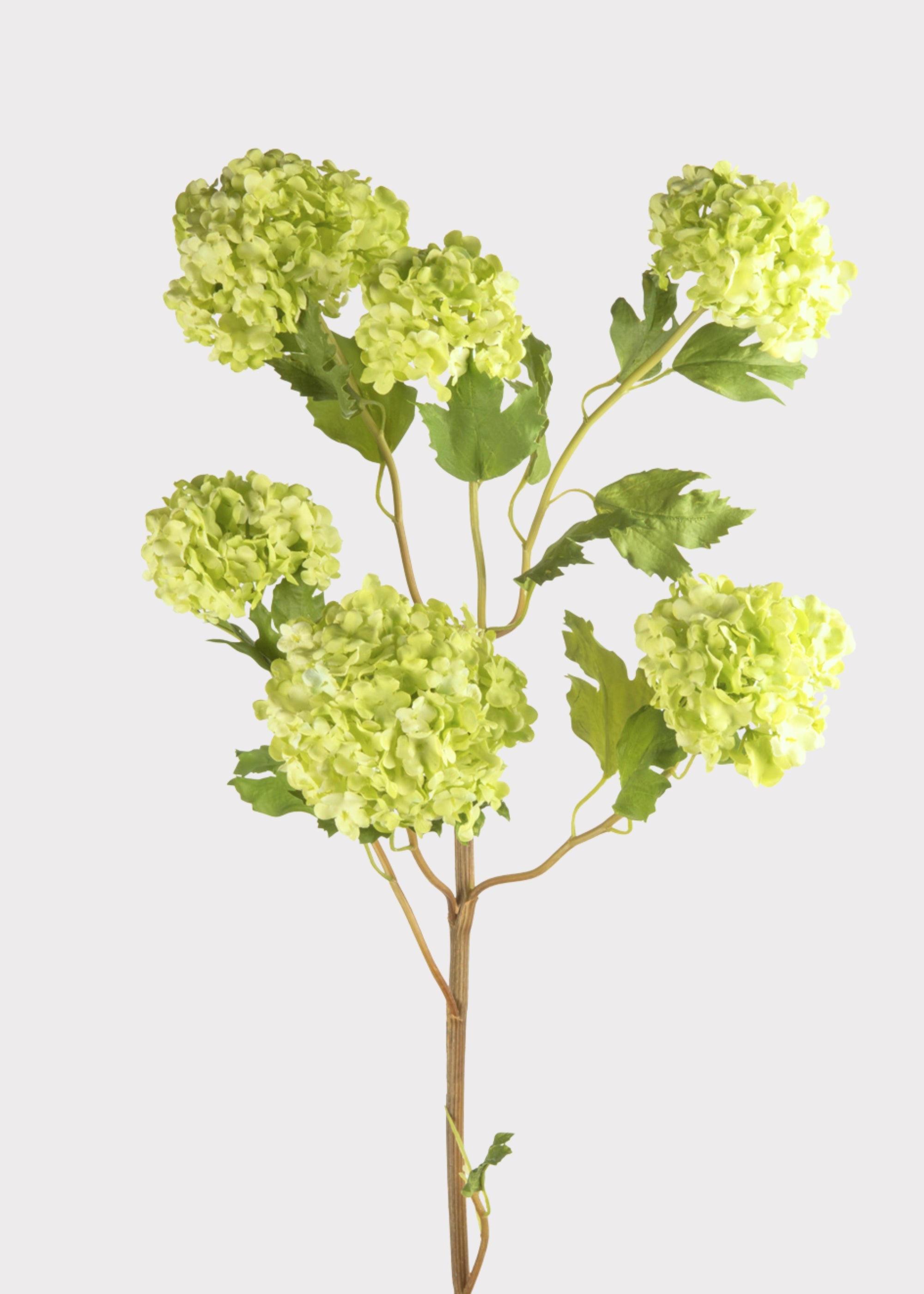 Fake Green Snowball Flowers at afloral
