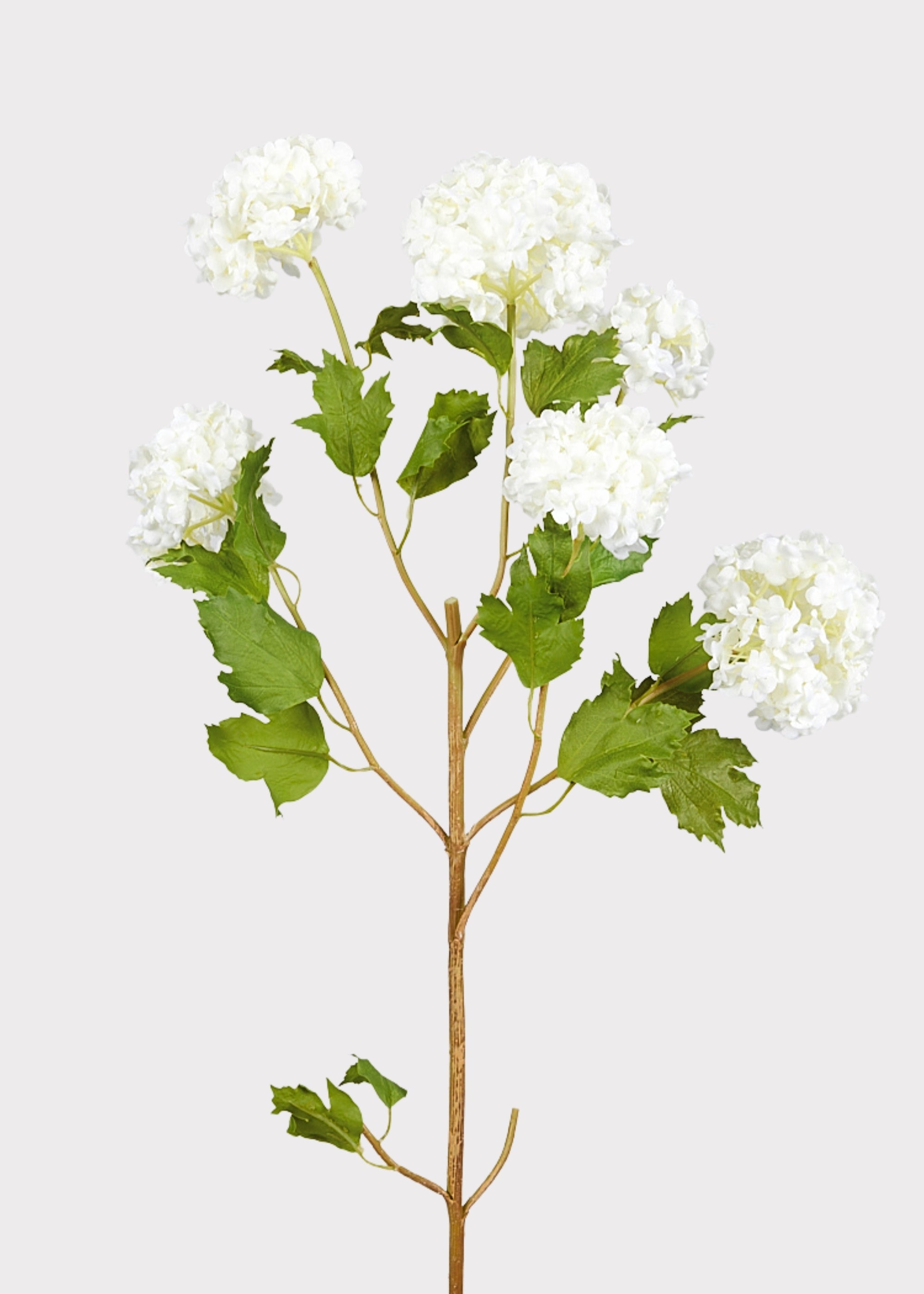 Cream White Artificial Snowball Flowers at Afloral