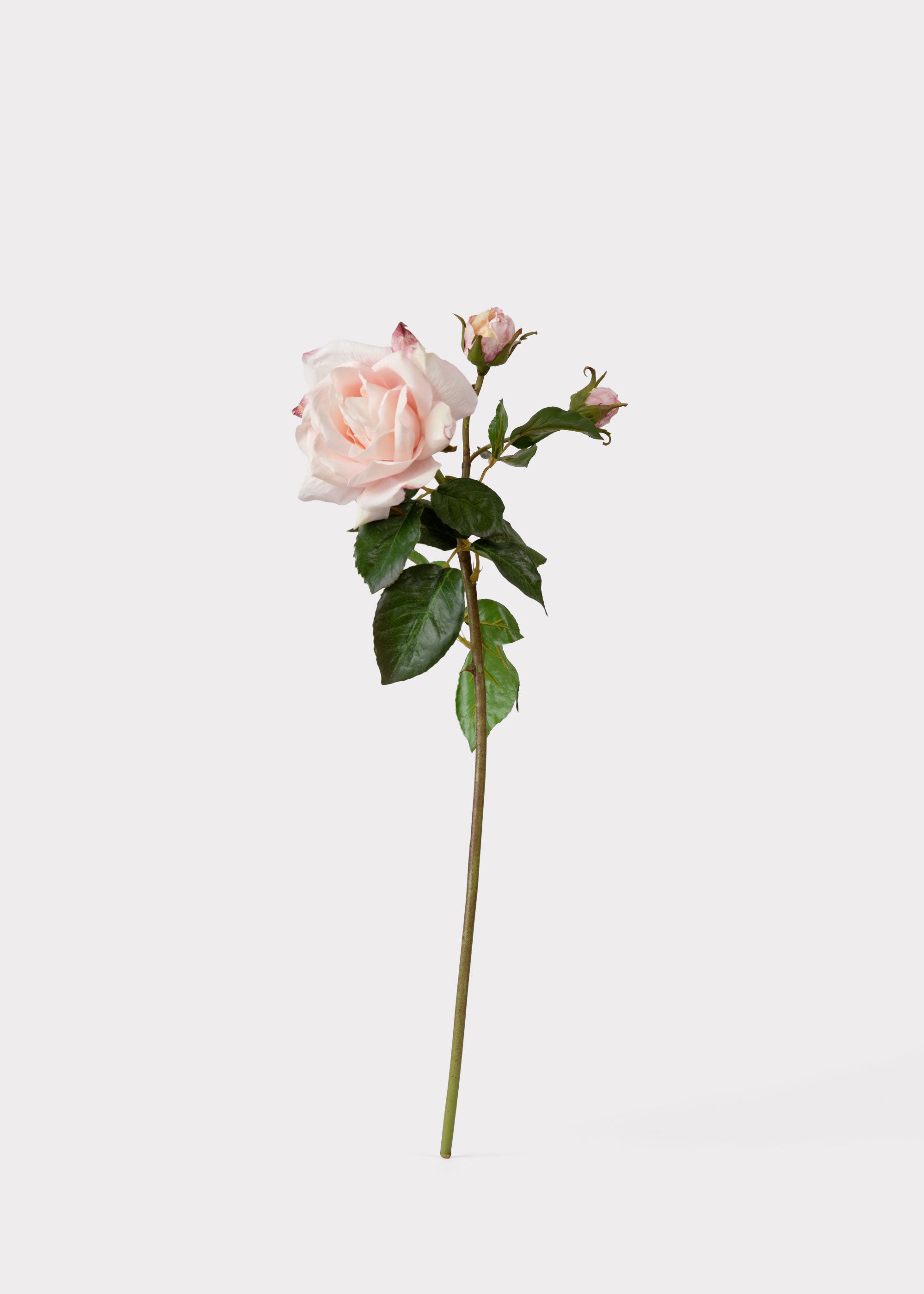 Soft Pink Real Touch Faux Juliet English Rose