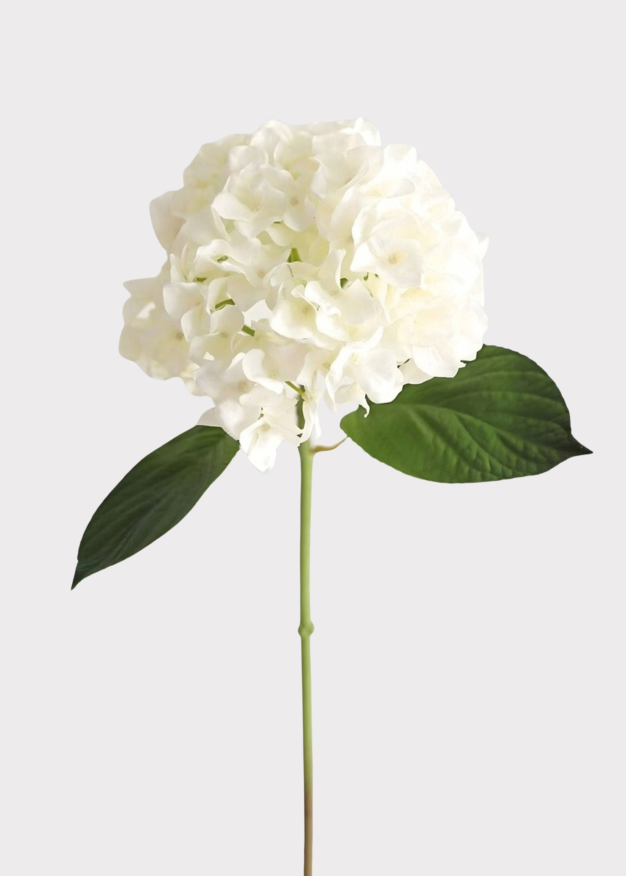 Fake White Hydrangea Real Touch Flower at Afloral
