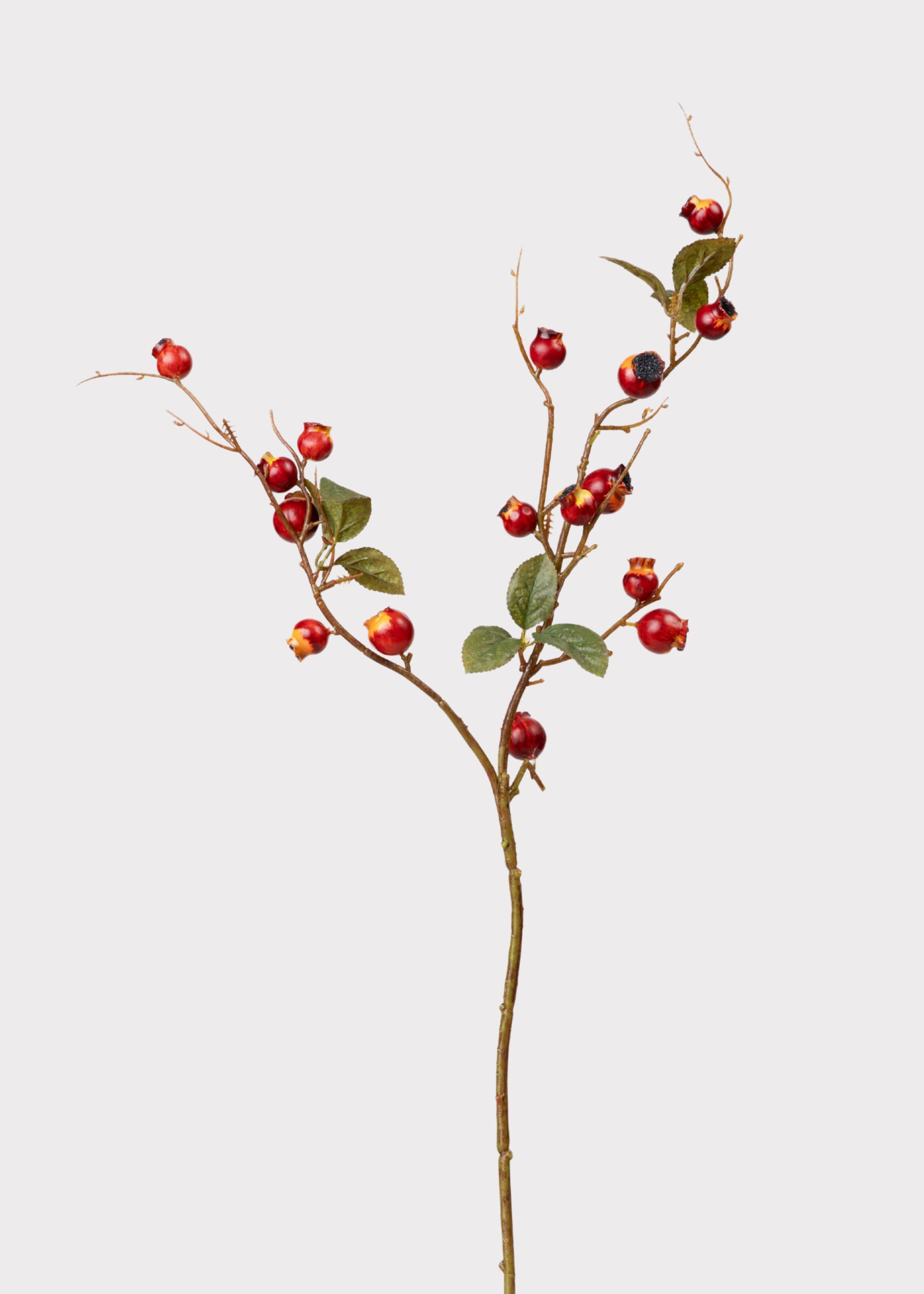 Fake Crabapple Berries