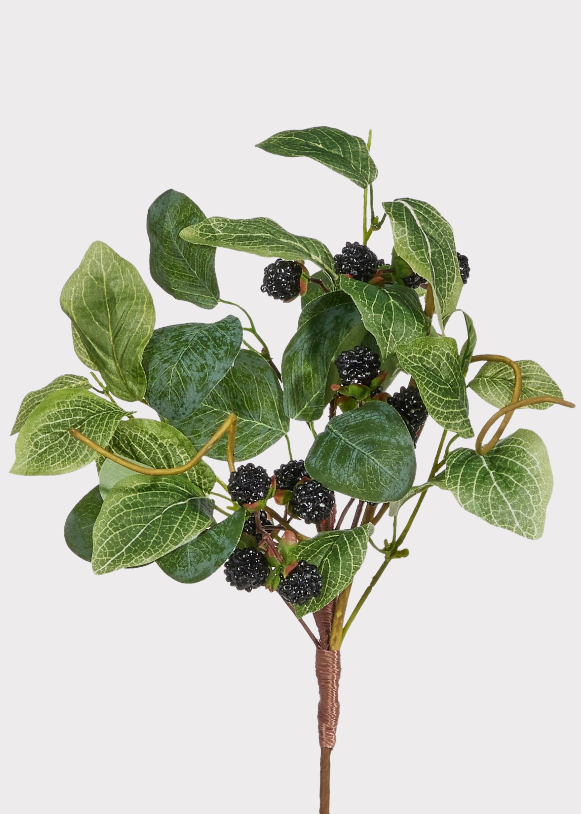 Fake Black Raspberry Pick