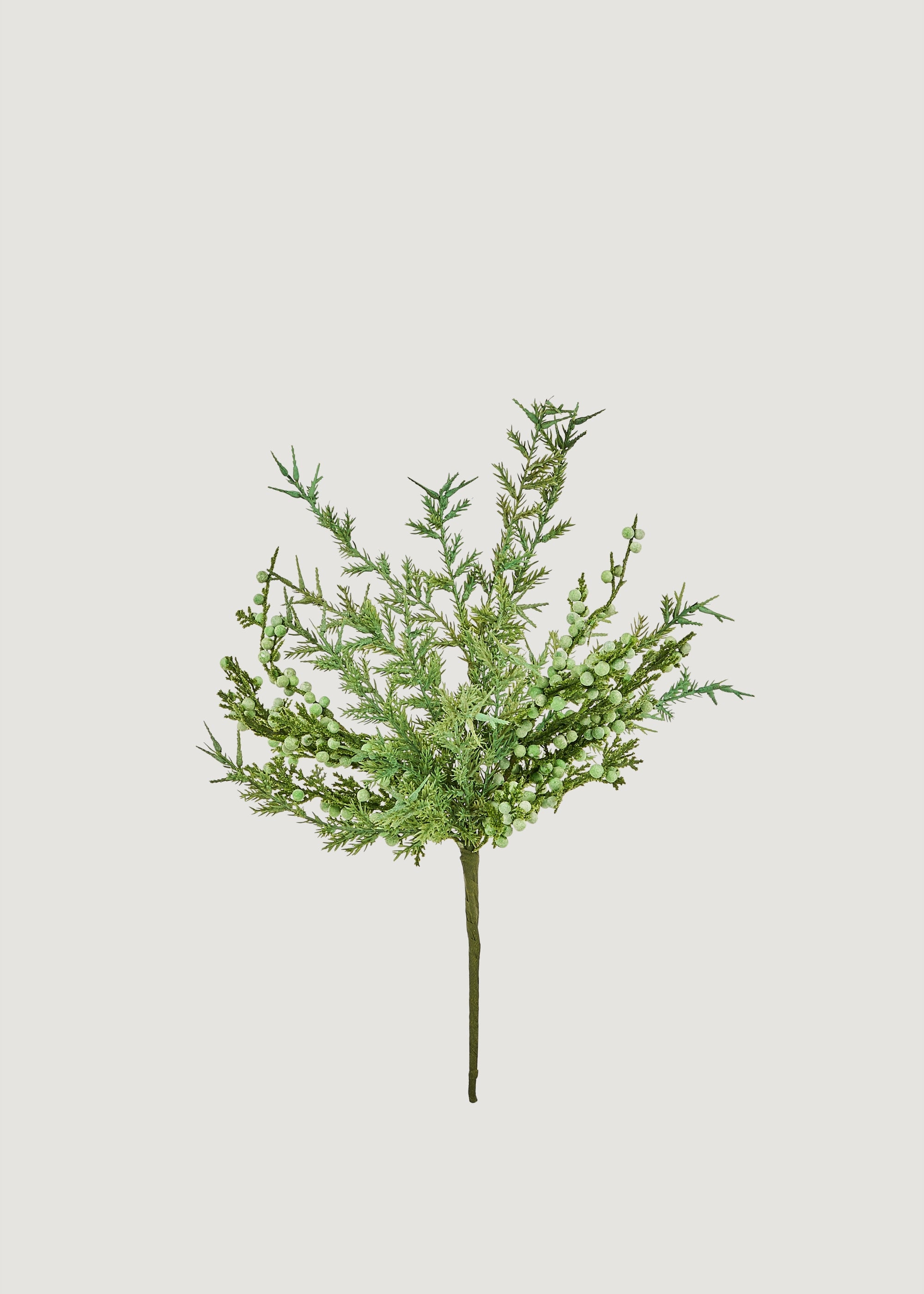 Small Juniper Spray