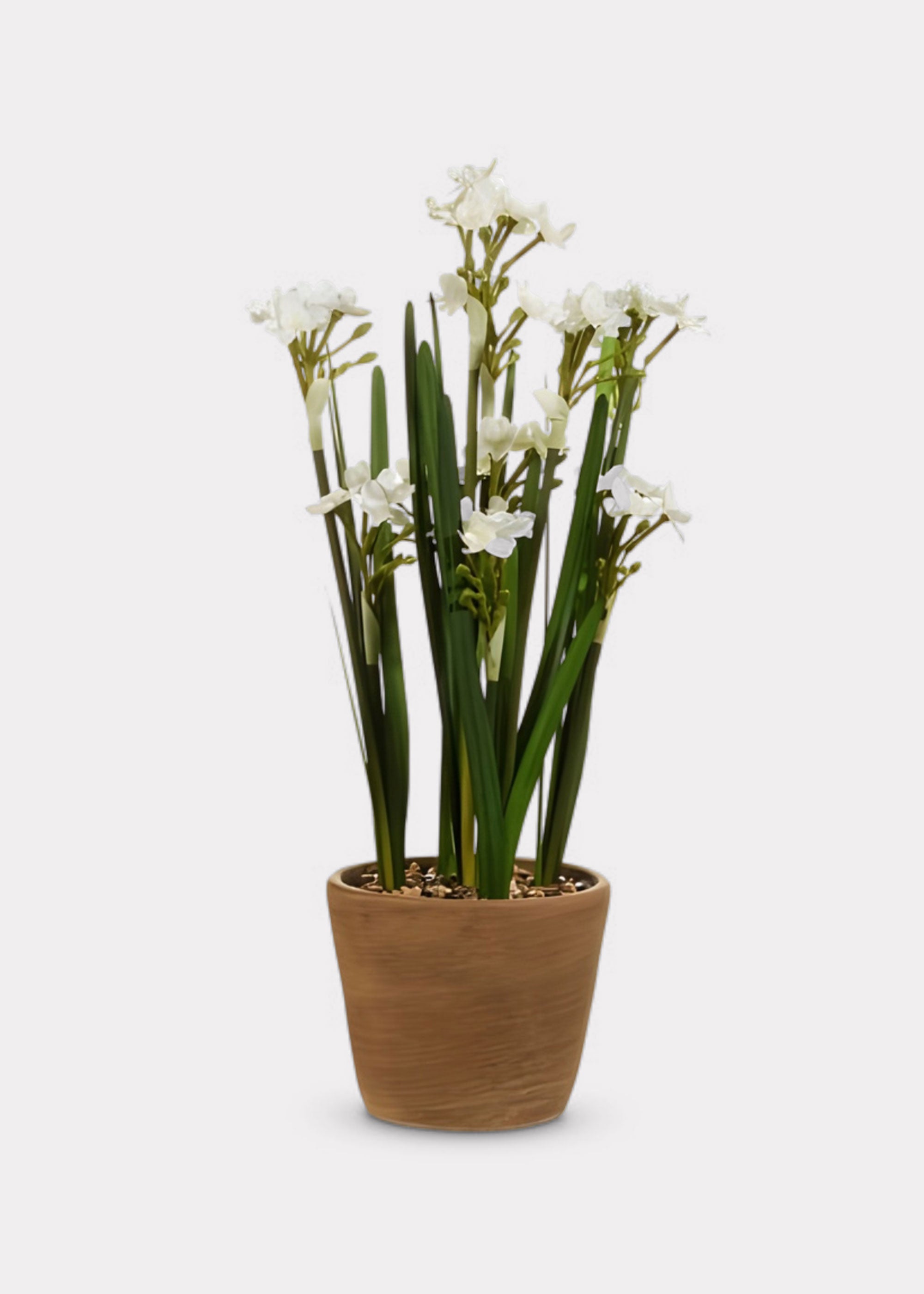 Fake Potted Paperwhite Flower Arrangement