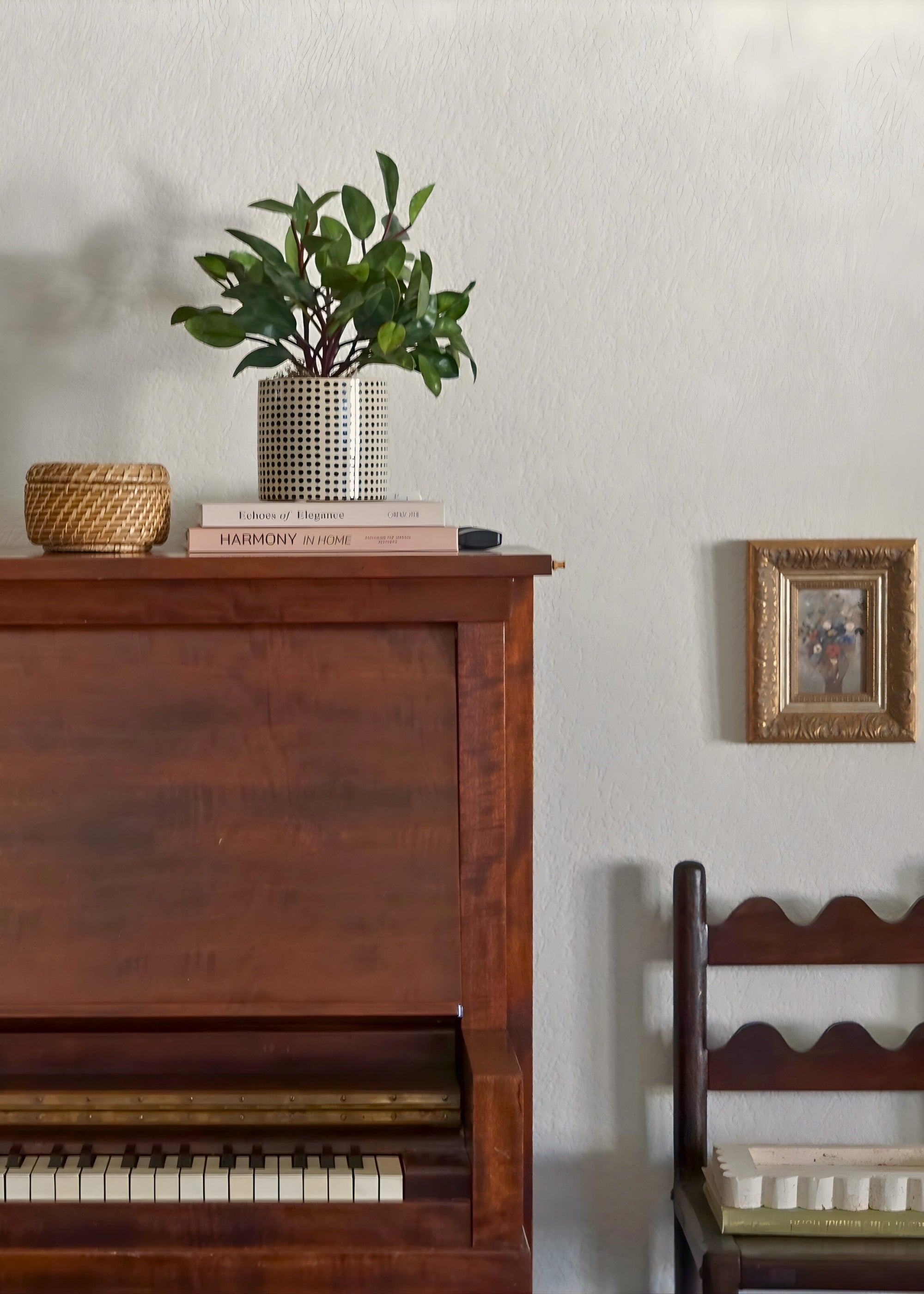artificial peperomia house plant on piano