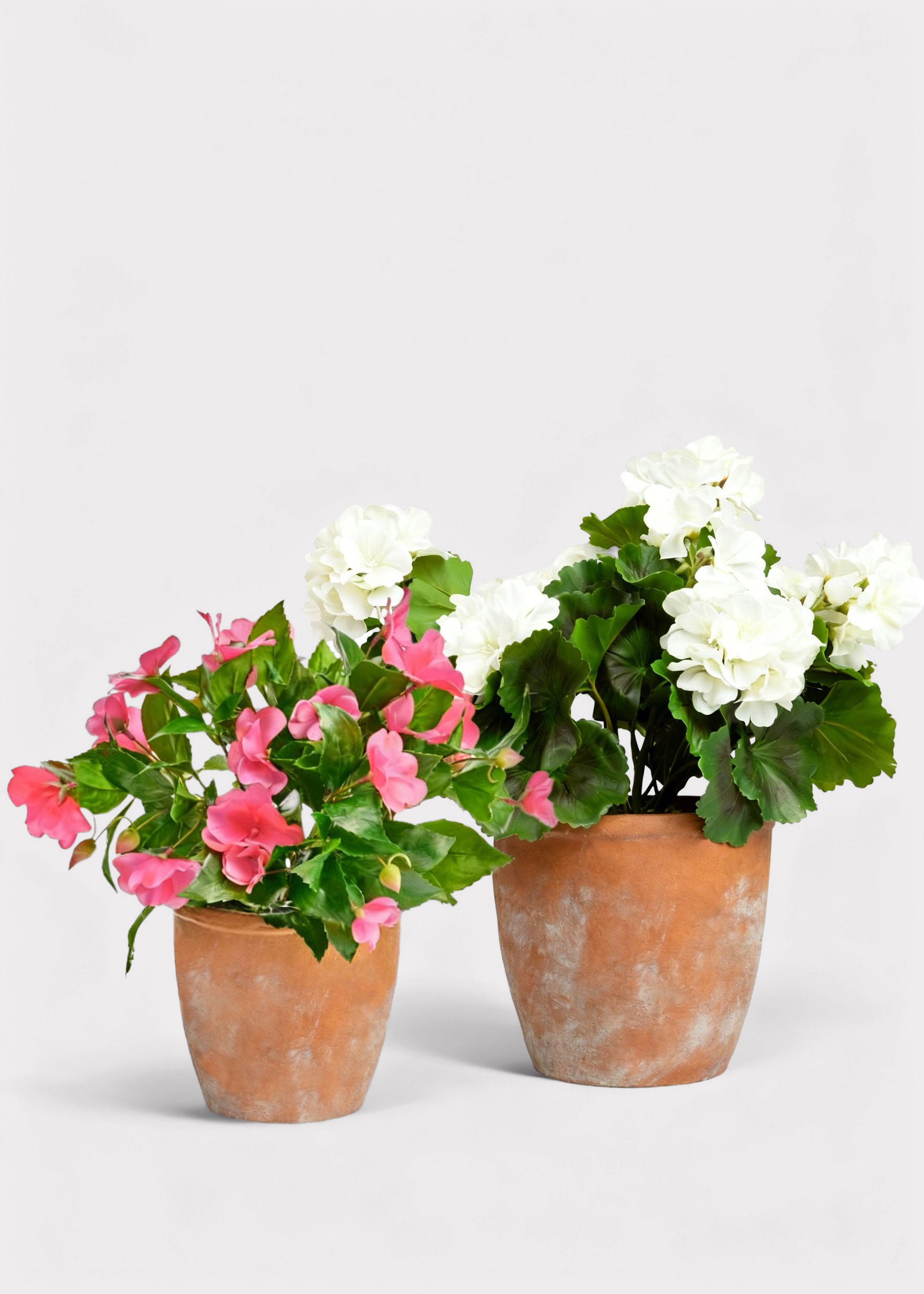 Faux Pink Impatiens and  White Geraniums in Clay Pots