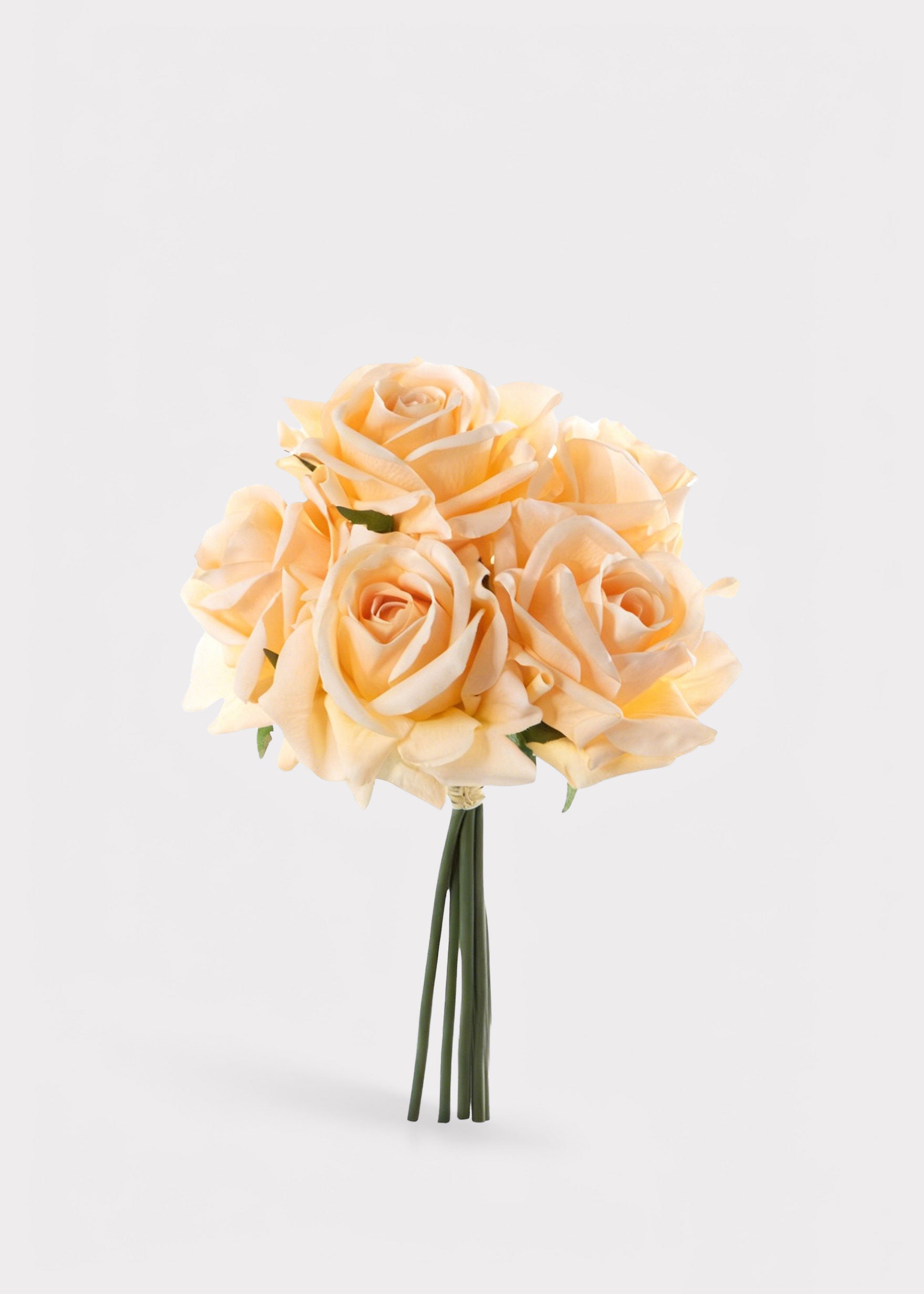 Soft Apricot Rose Flower Bundle