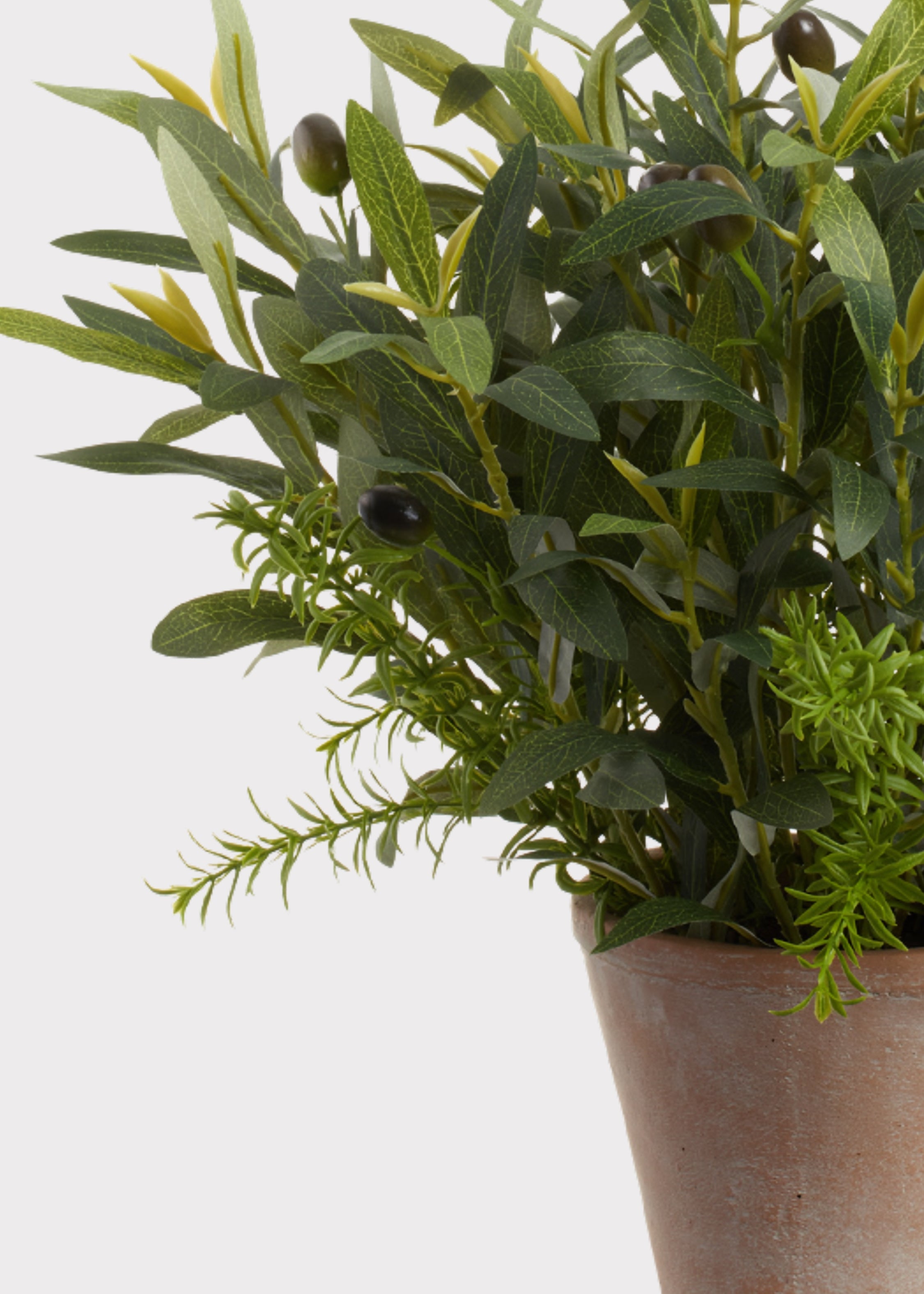 Close-up of Faux Olive Leaf and Rosemary Plant in Cement Pot