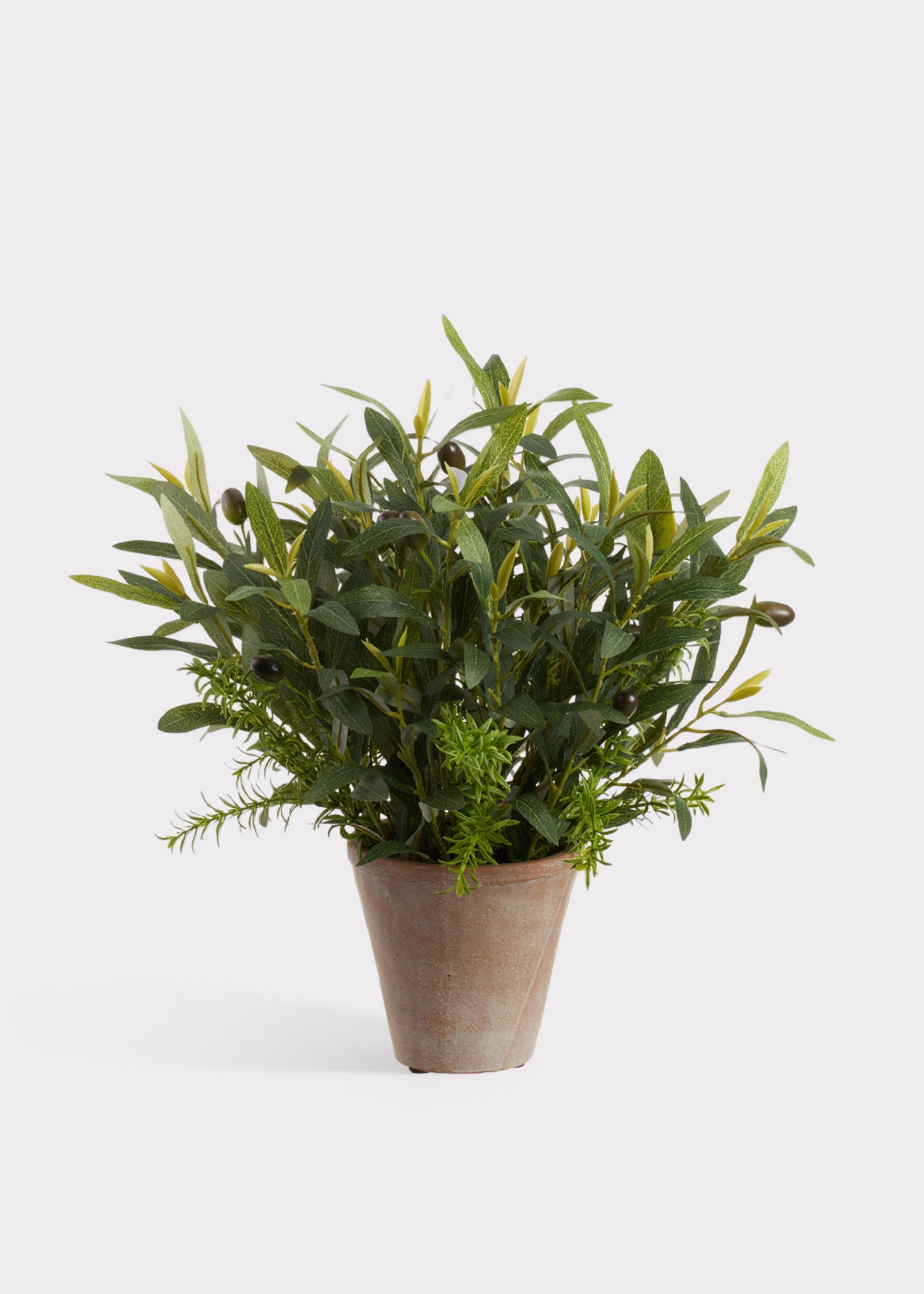 Faux Olive Leaf and Rosemary Plant in Cement Pot