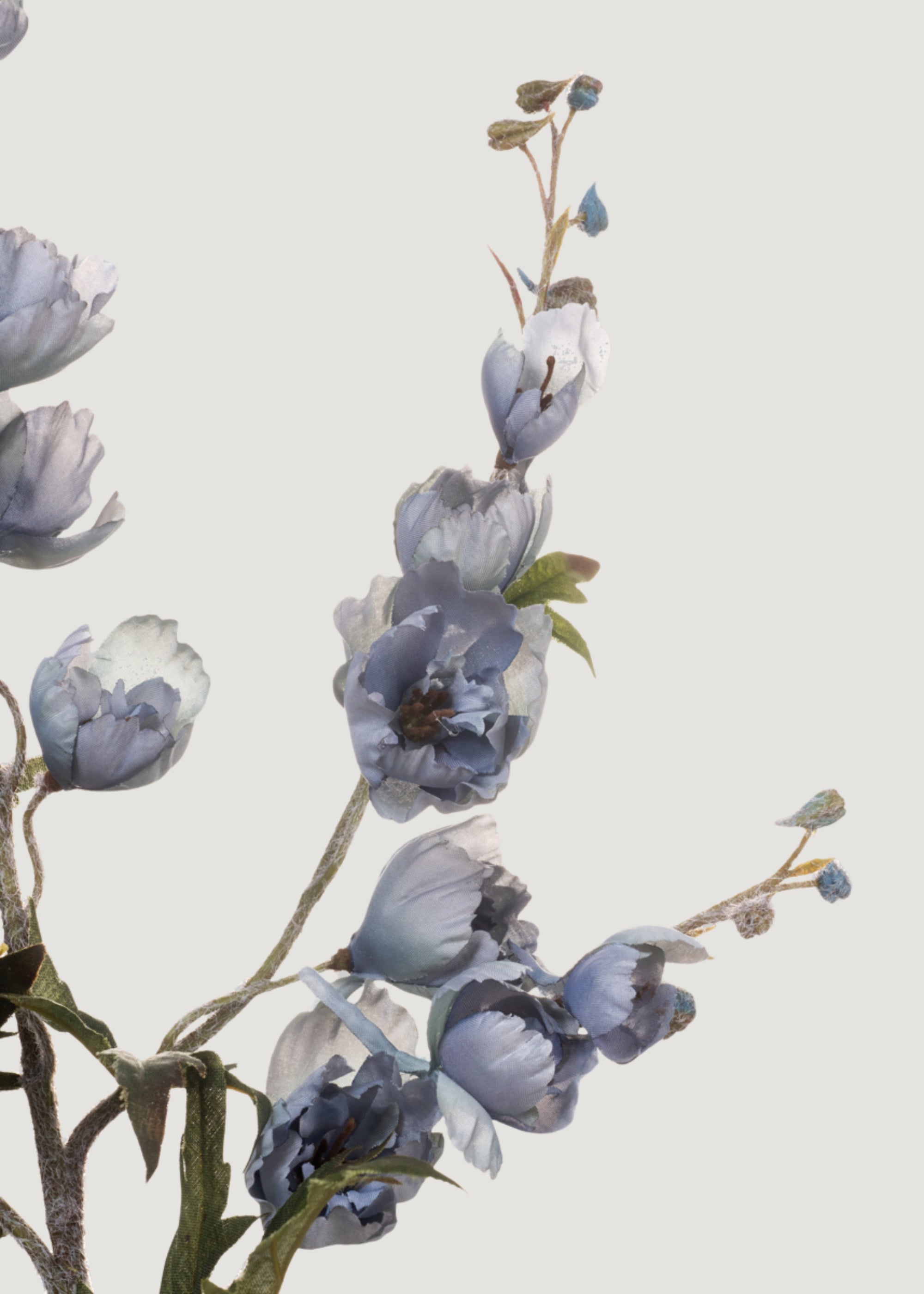 Close-up of Artificial Delphinium Blossoms