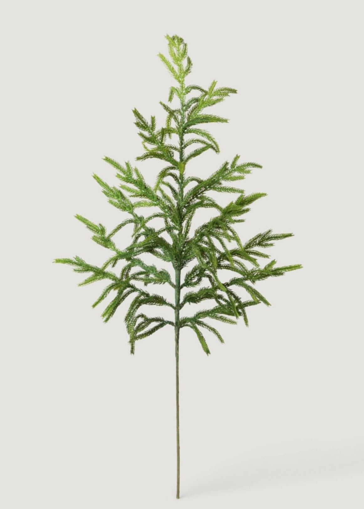 Faux Winter Greens Real Touch Norfolk Pine Branch at Afloral
