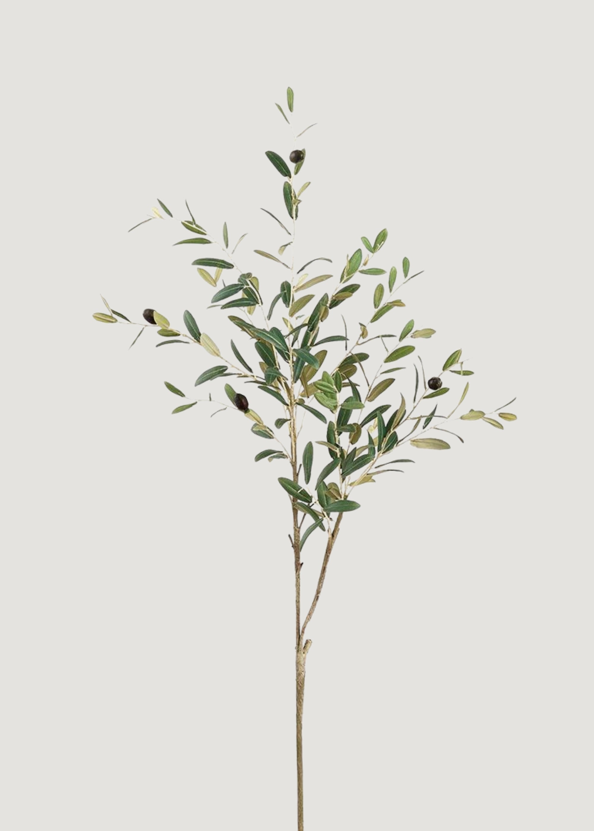 Tall Fake Olive and Leaf Branch
