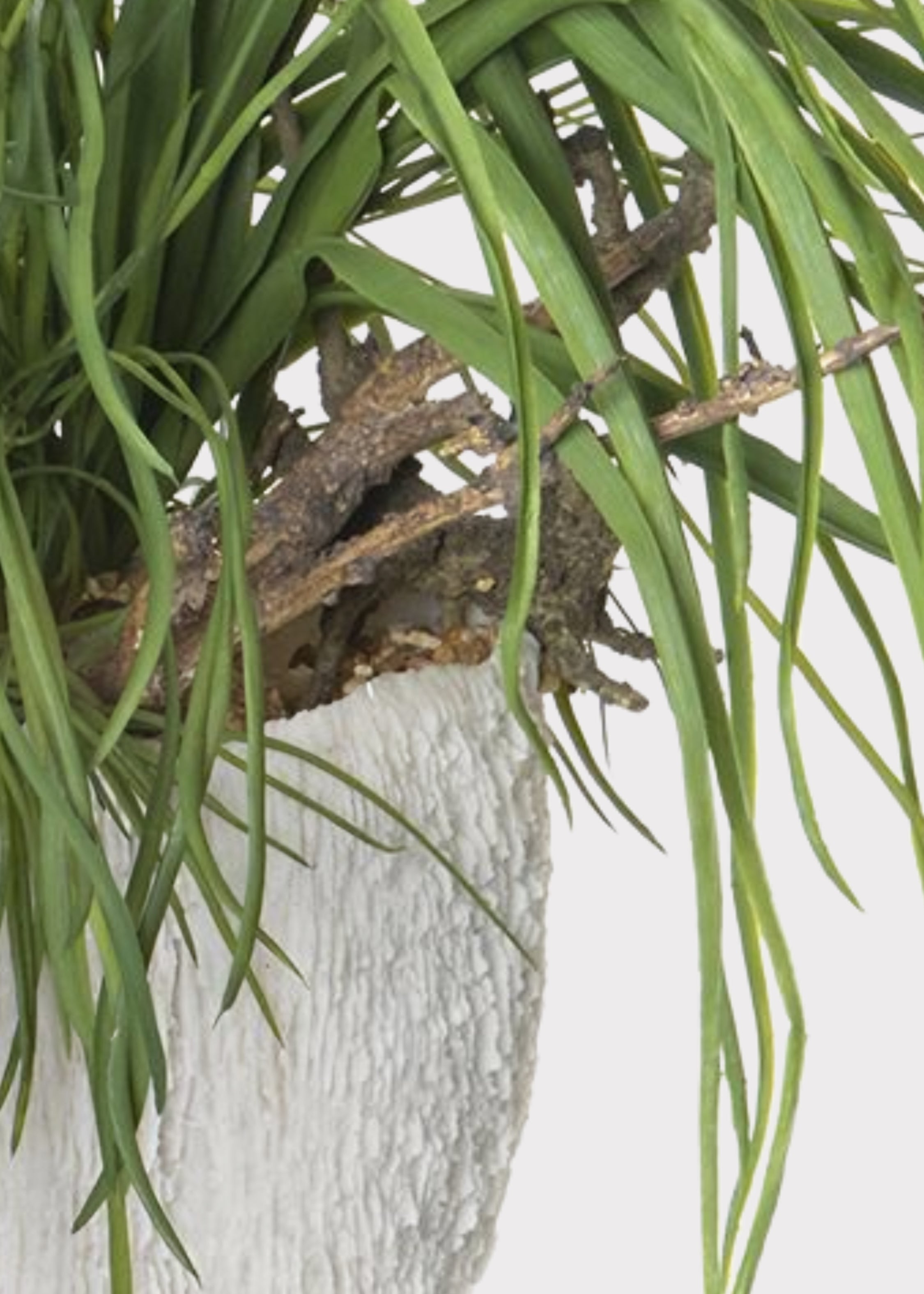 Close-up of Fake Potted Grass Arrangement
