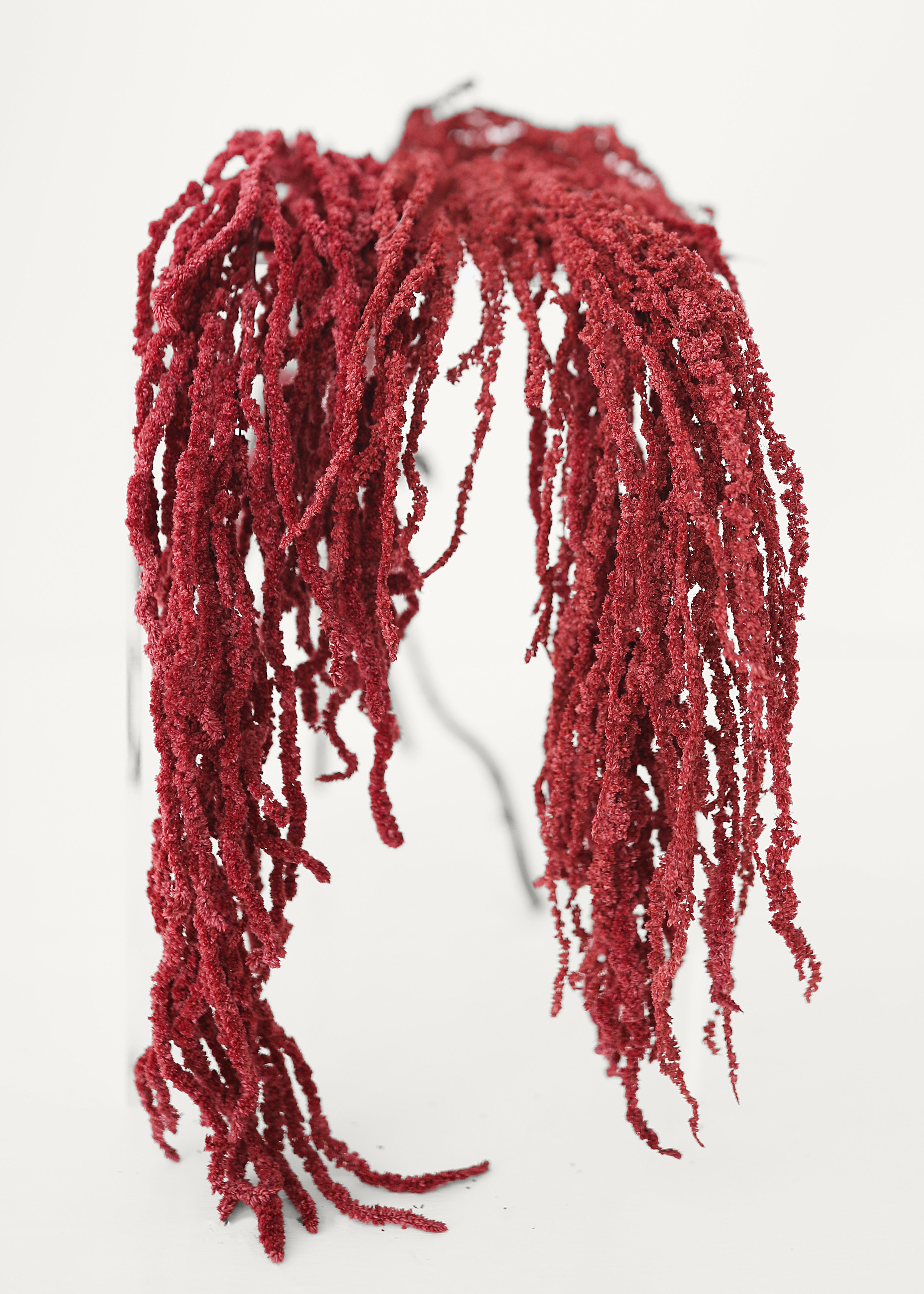 Dried Hanging Amaranthus in Burgundy