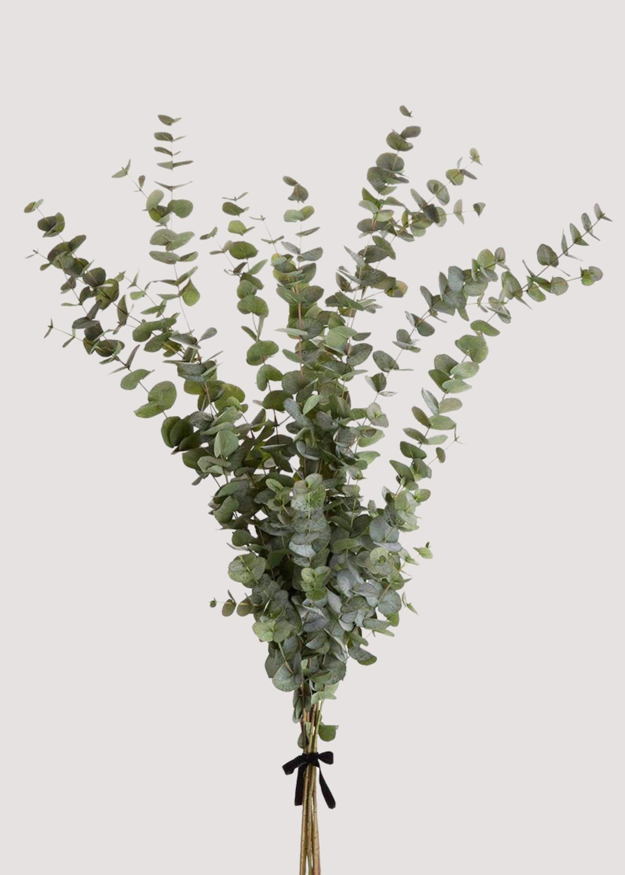 Large Artificial Eucalyptus Branch Bundle