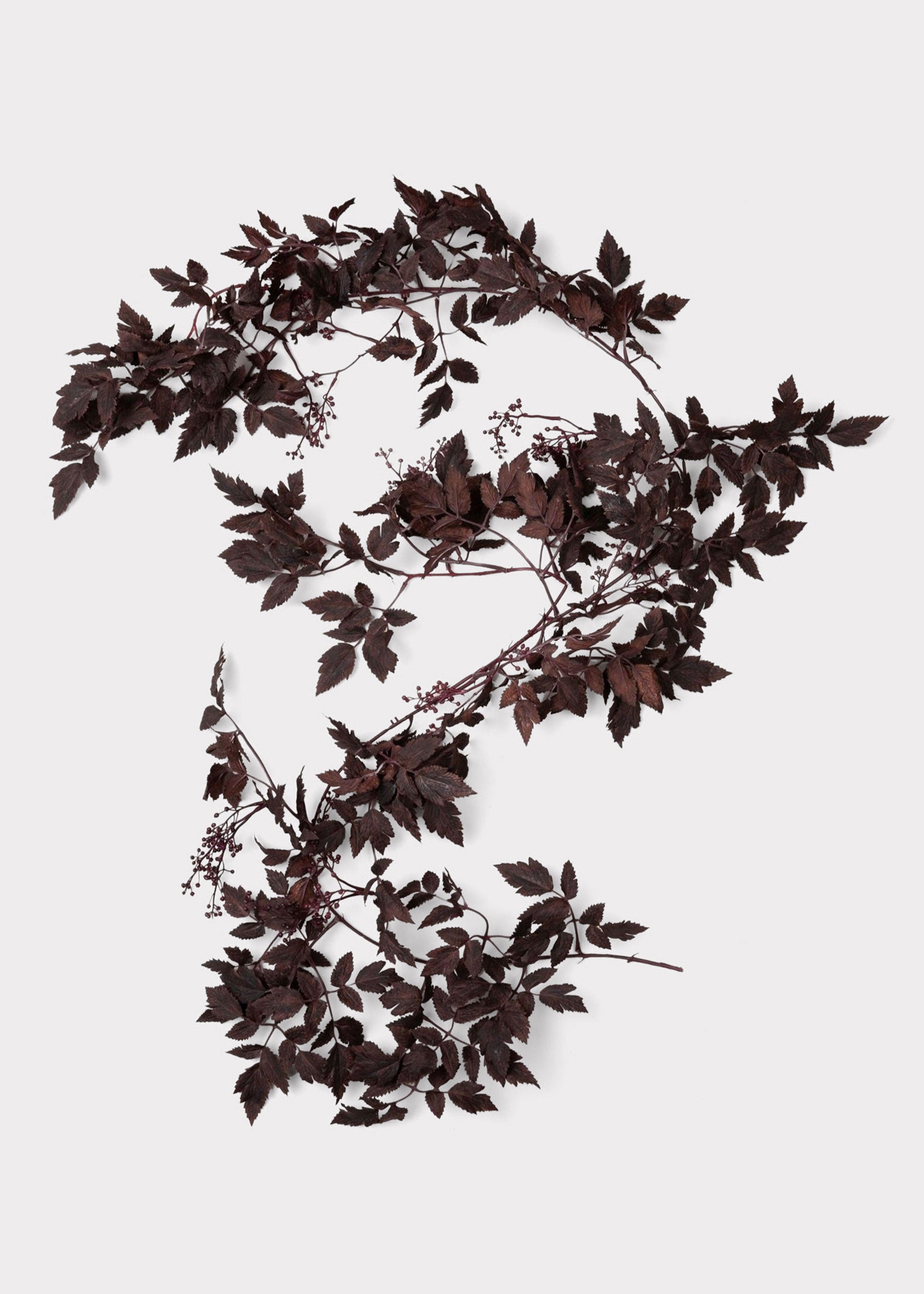 Cimicifuga Leaf Garland