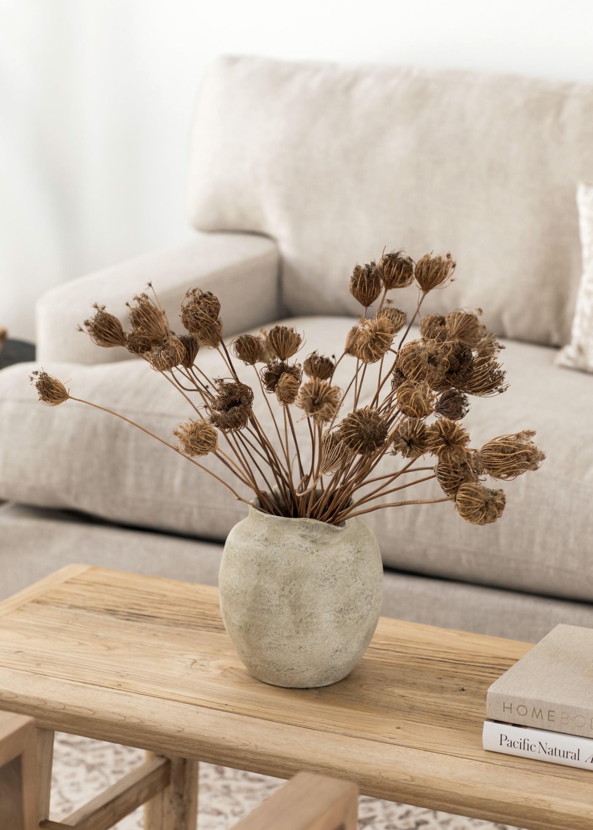 Dried Queen Anne's Lace in a Pitcher Vase