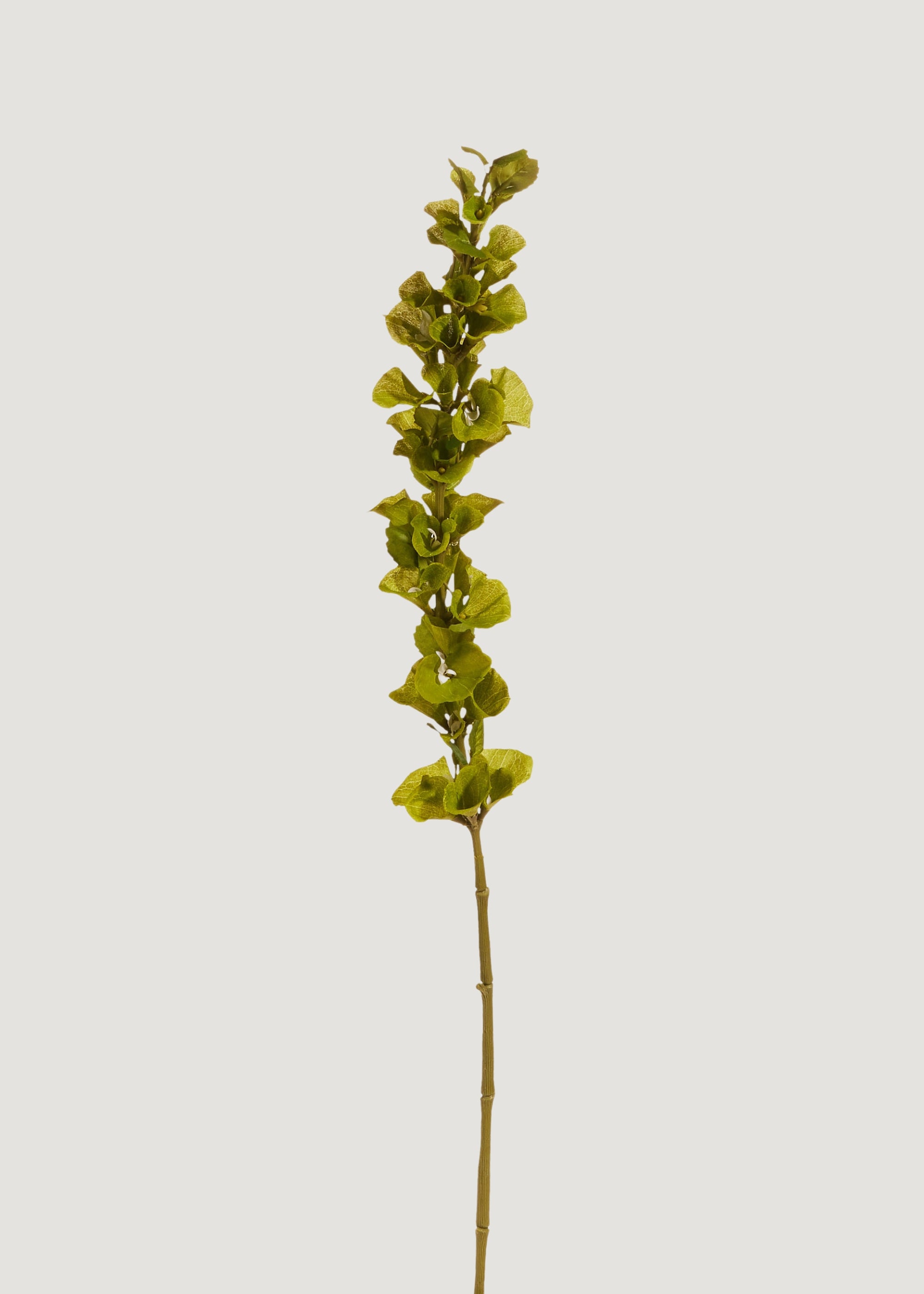 Green Artificial Bells of Ireland Flower Stem