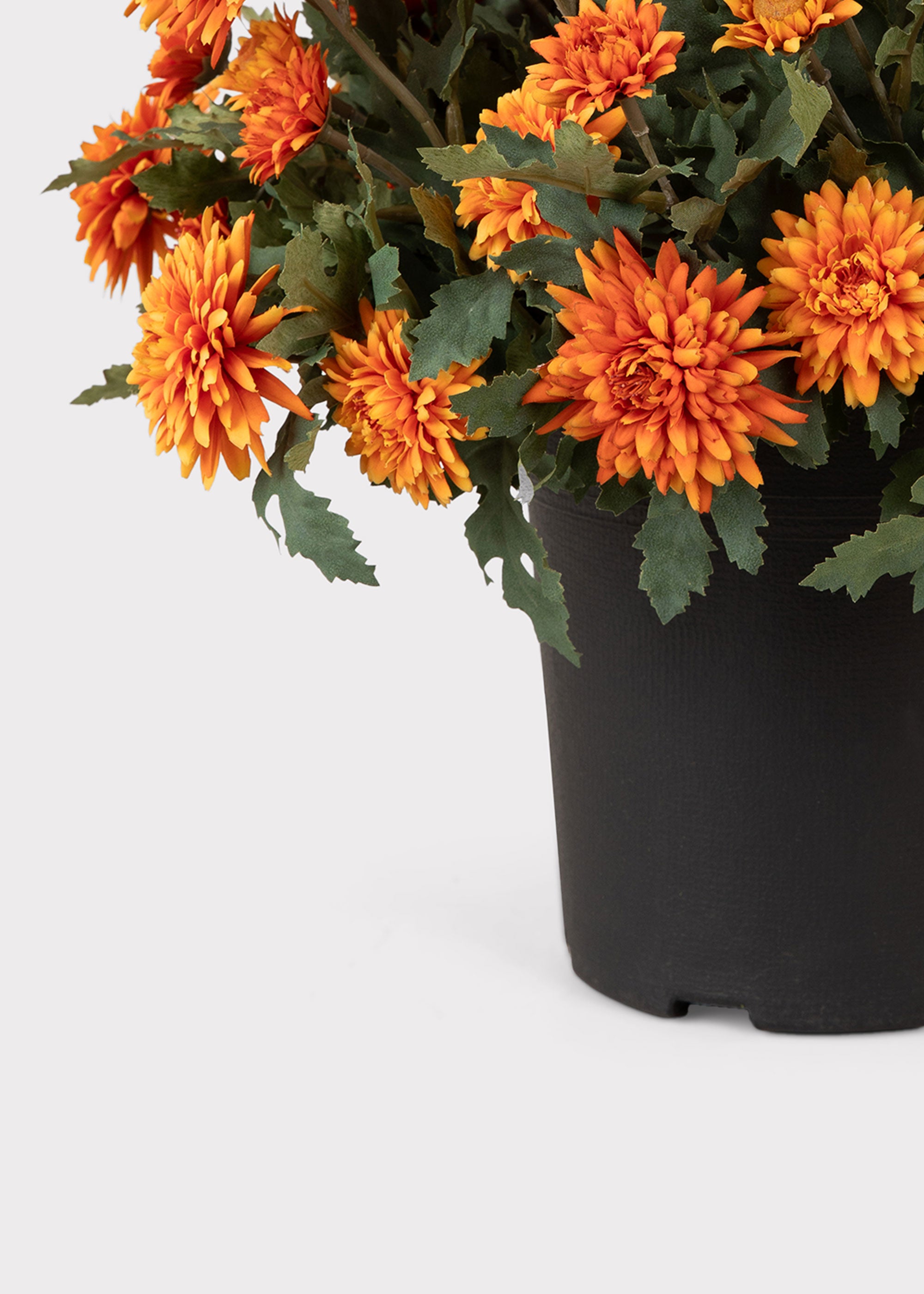 Potted Fake Mum
