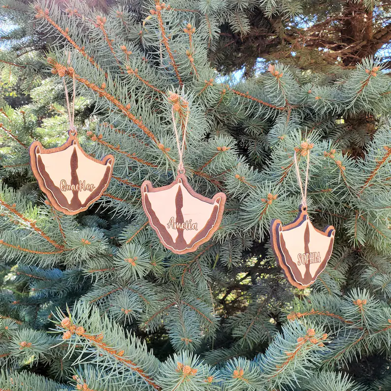 Chicken Footprint Ornament