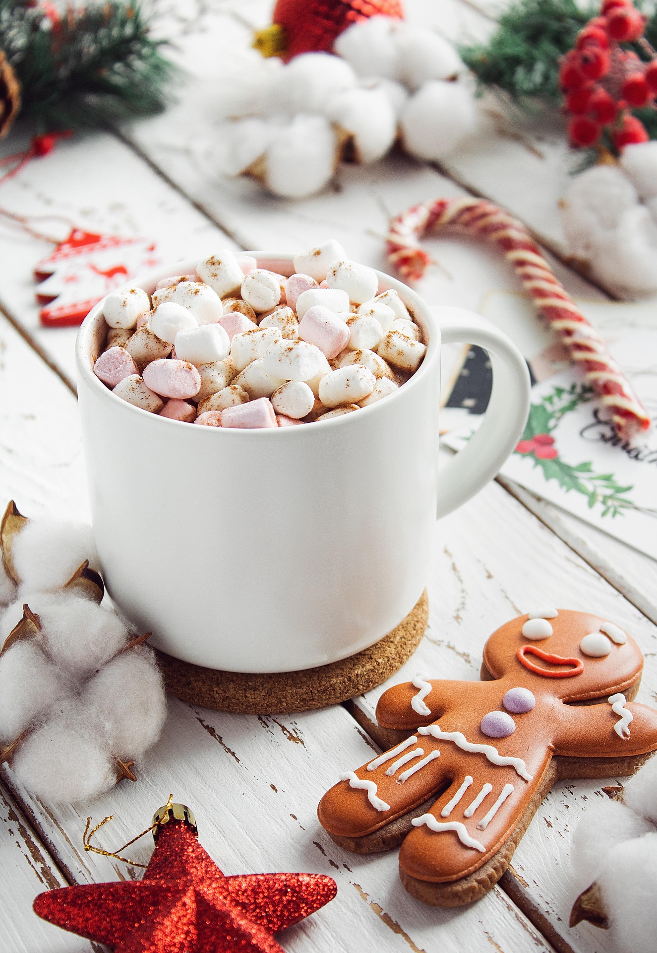 Cozy Winter Picks