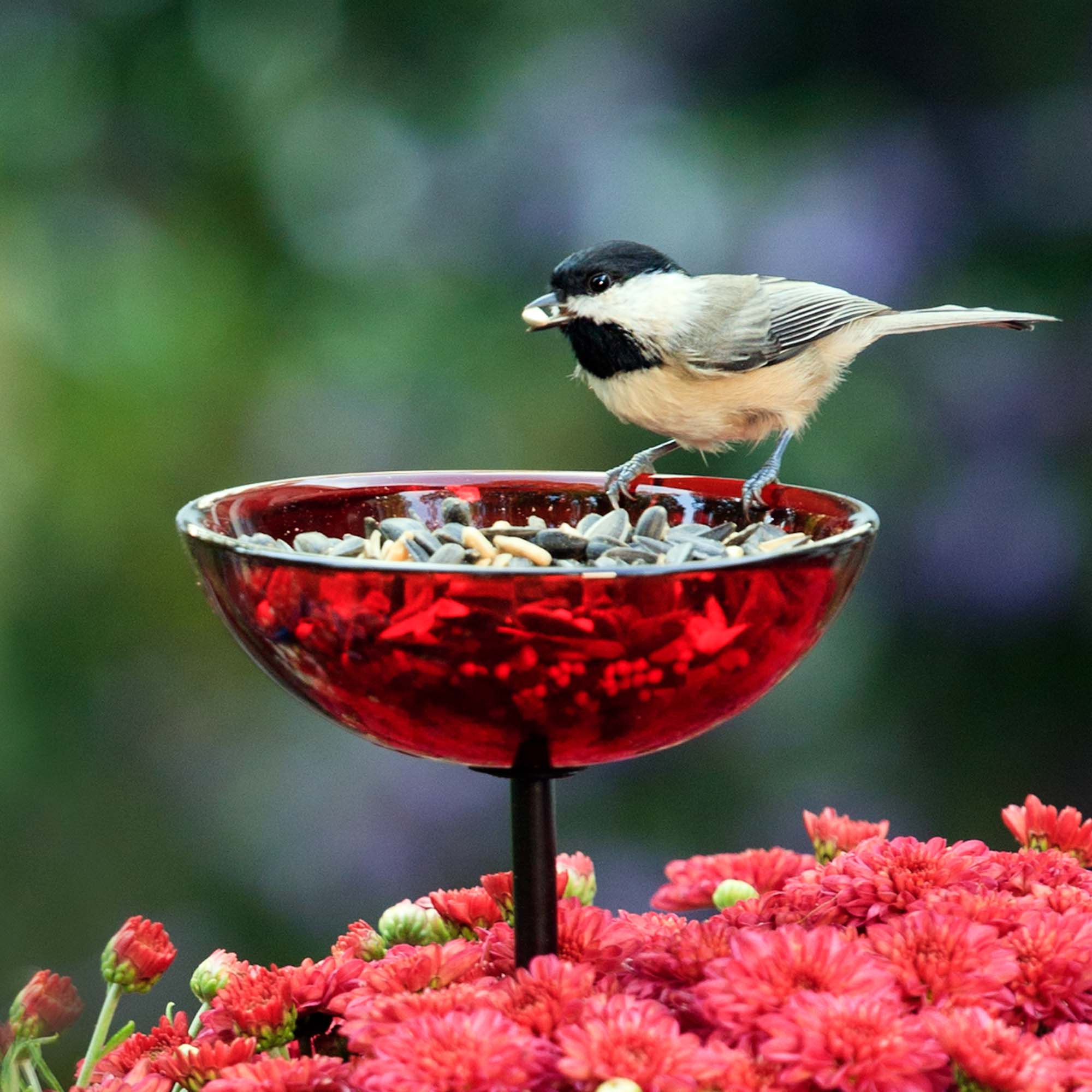 Poppy Stake Bird Feeder