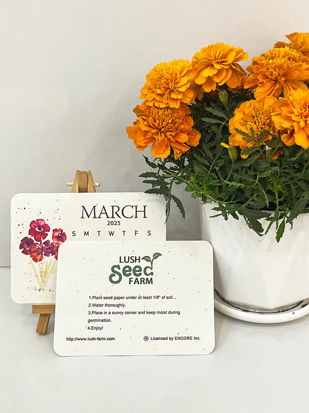 2025 Eco-Friendly Plantable Seed Calendar