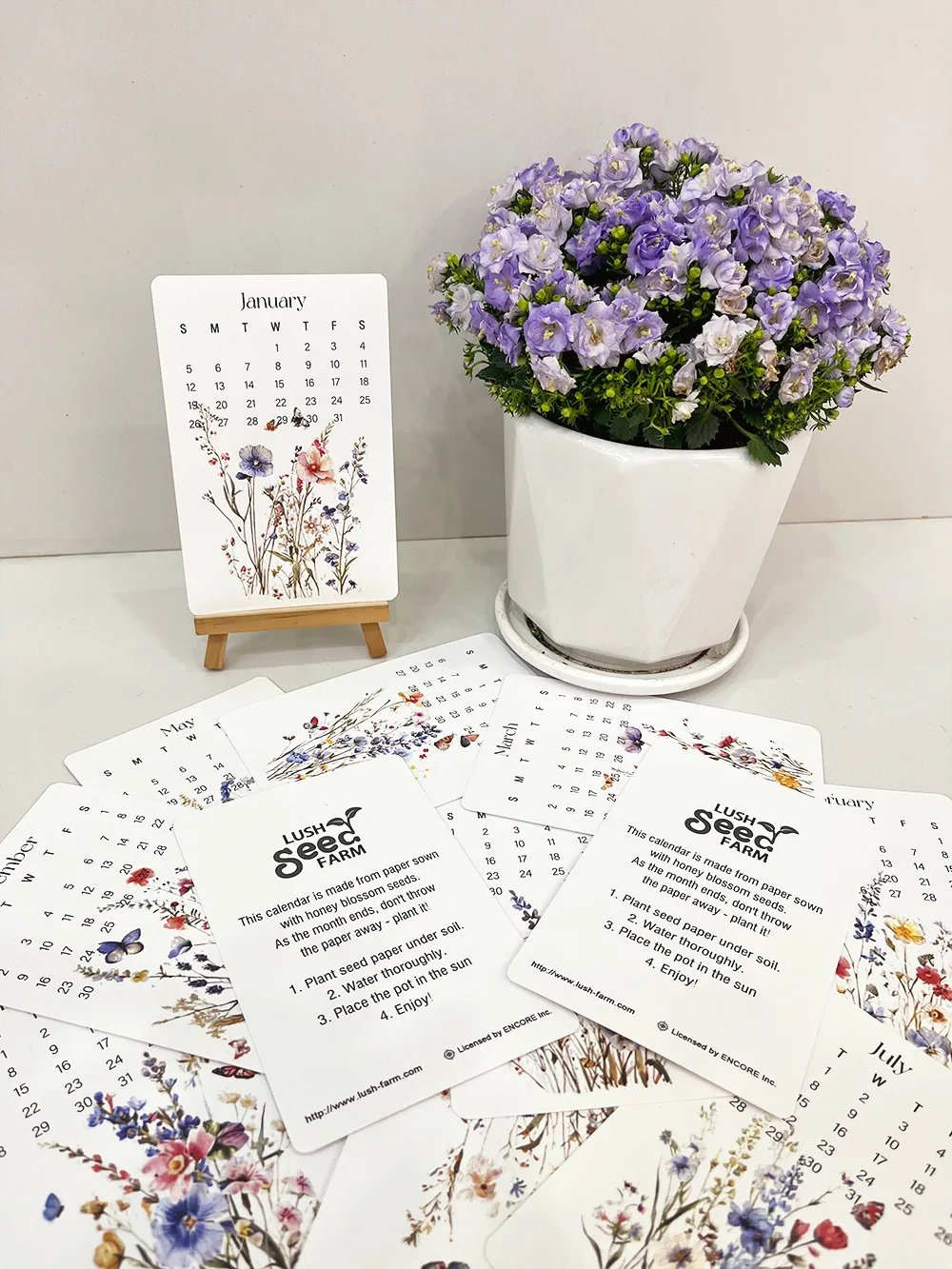 2025 Eco-Friendly Plantable Seed Calendar