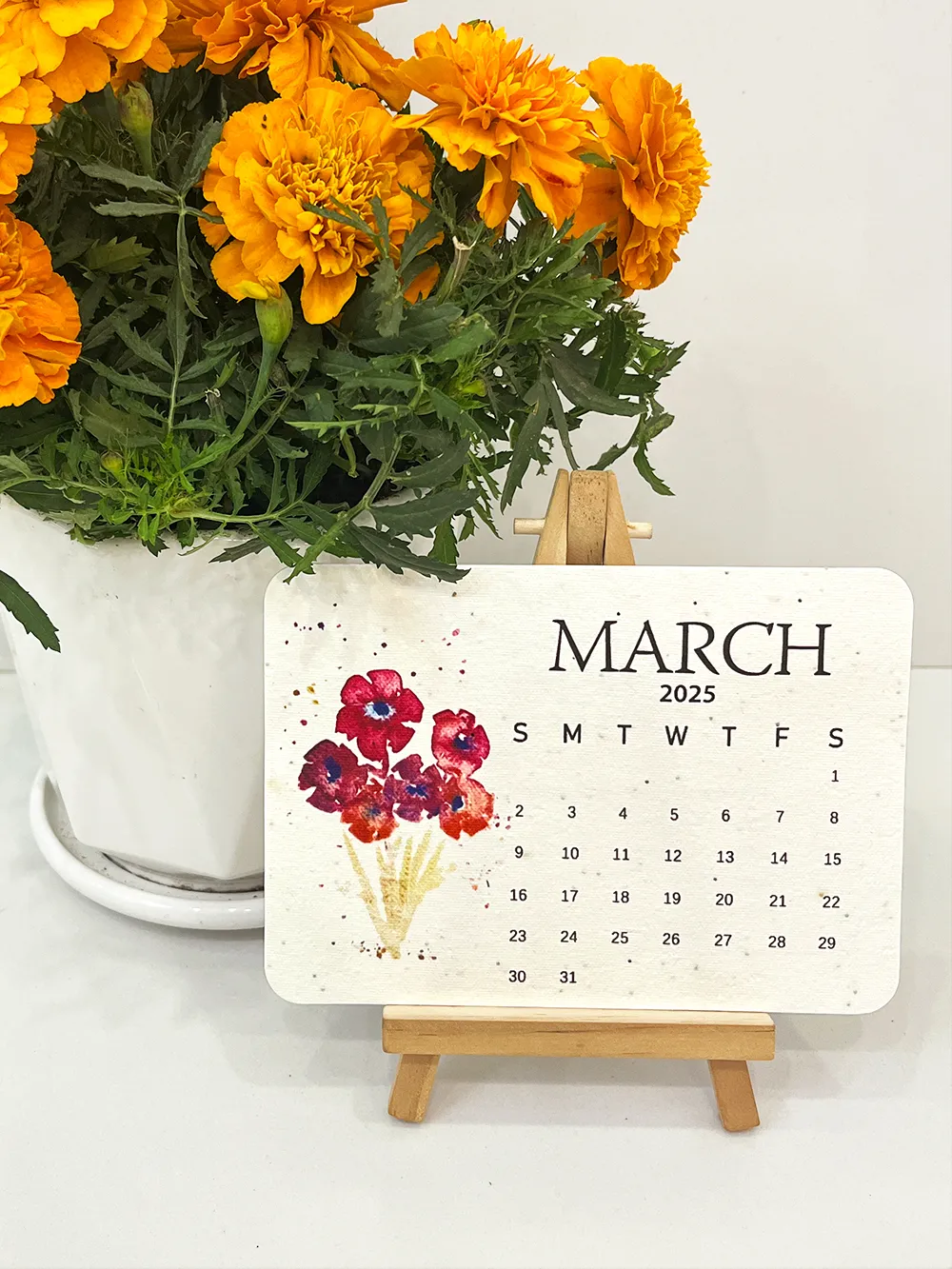 2025 Eco-Friendly Plantable Seed Calendar
