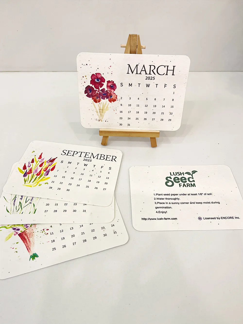 2025 Eco-Friendly Plantable Seed Calendar
