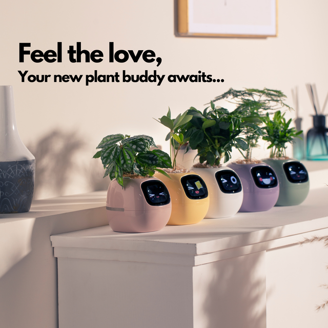 Smart Planter for Indoor Plants and Home Gardens with Fun Gardening Control, Compatible with Smart Home Devices