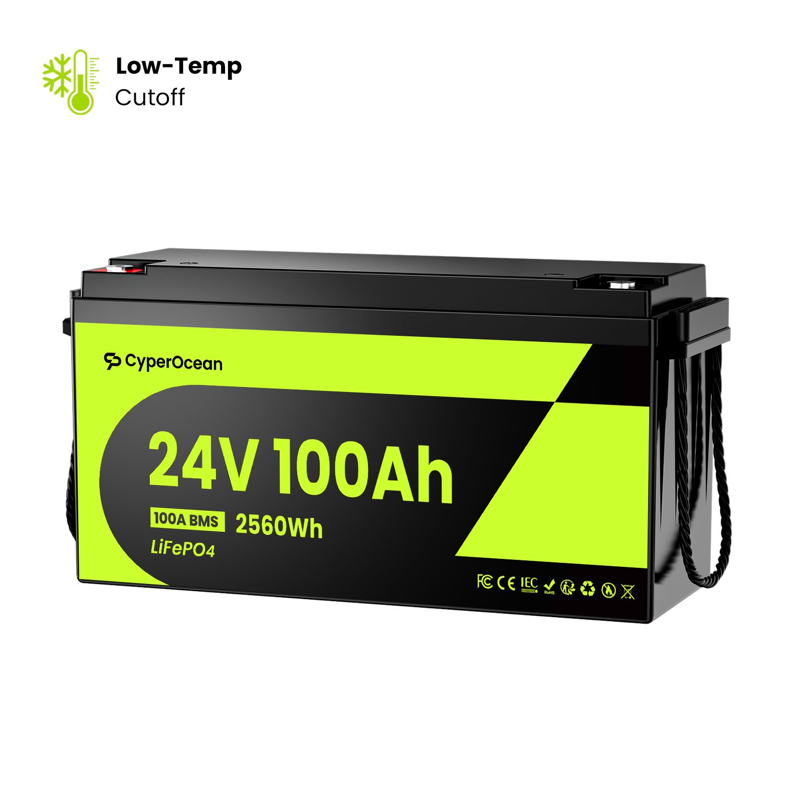 CyperOcean 24V 100Ah LiFePO4 Battery | 2560Wh Deep Cycle Lithium Battery for RV, Solar, Marine & Trolling Motor