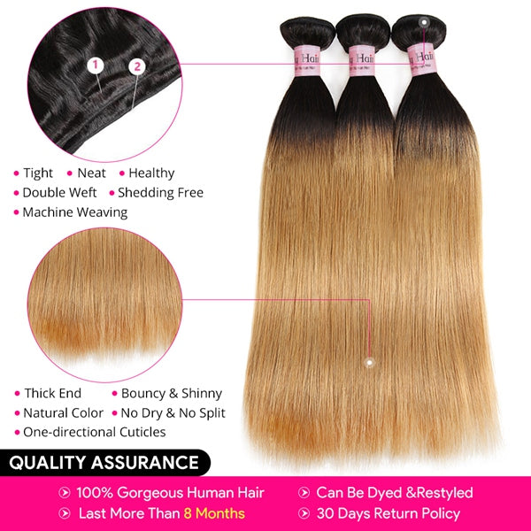 1B/27 Straight Human Hair Bundles With Closure Ombre Colored Hair Bundles With Closure - LollyHair